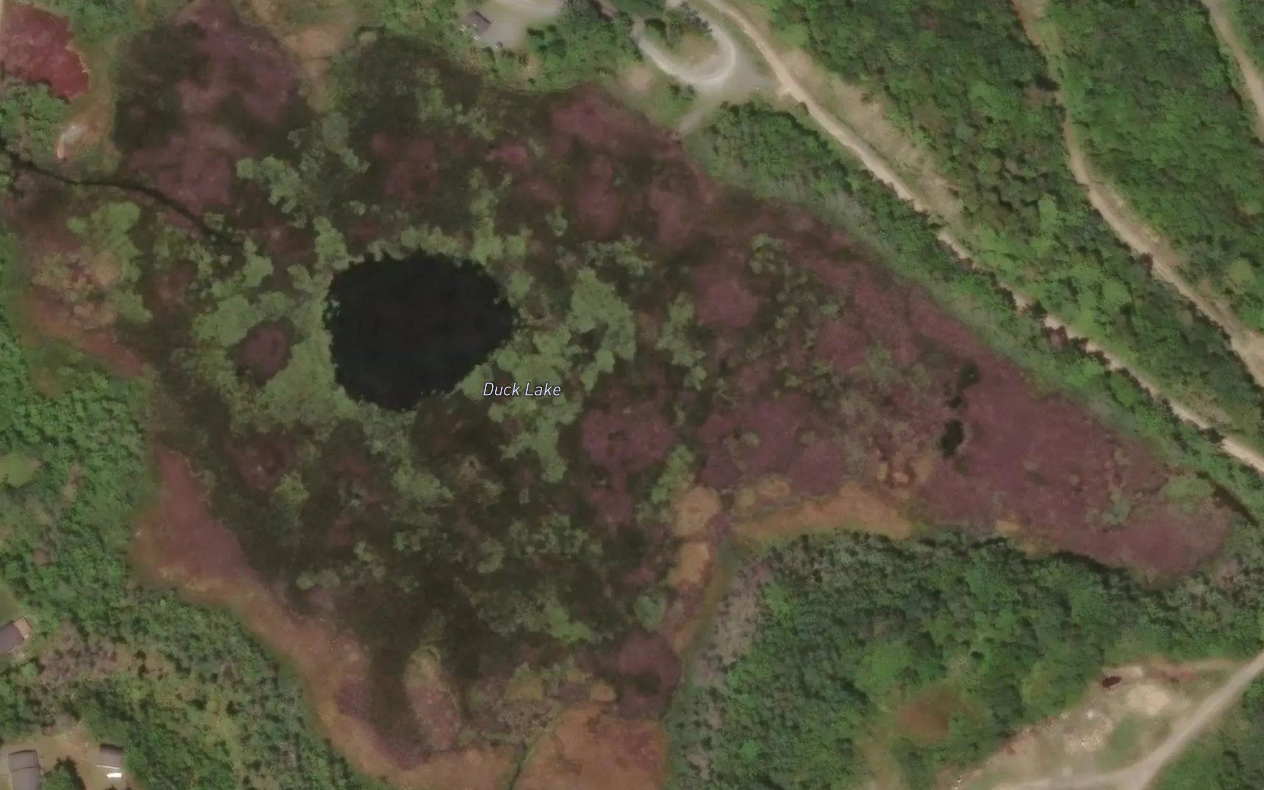 Duck Lake