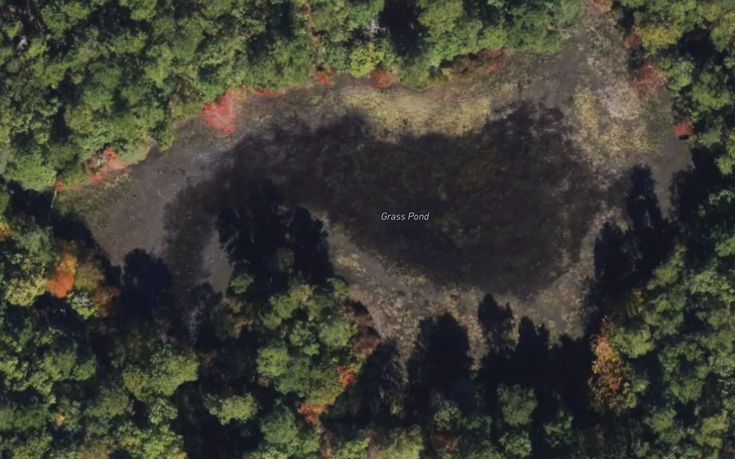 Grass Pond