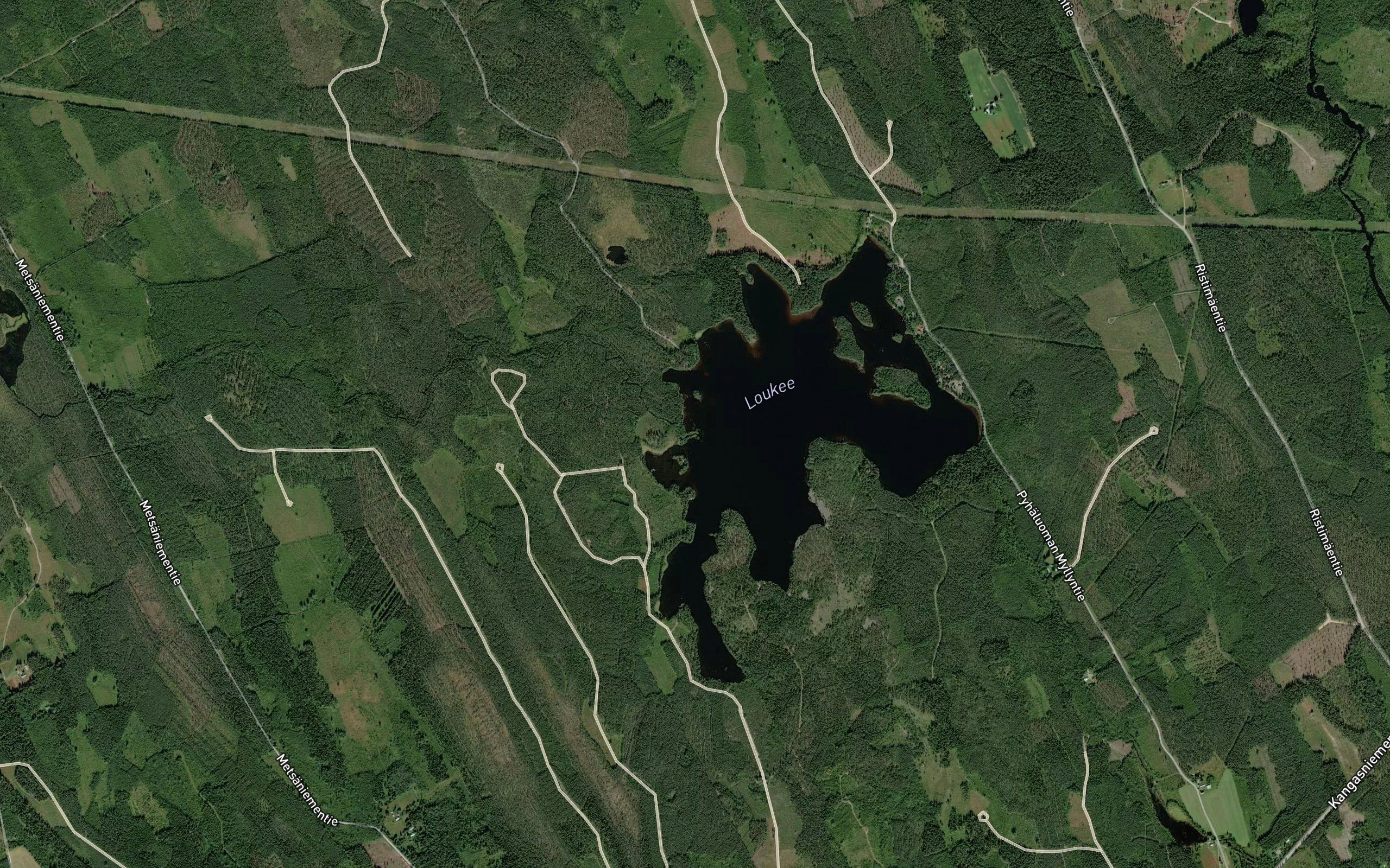 Rutakonjoki