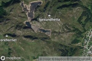 Vikevatnet