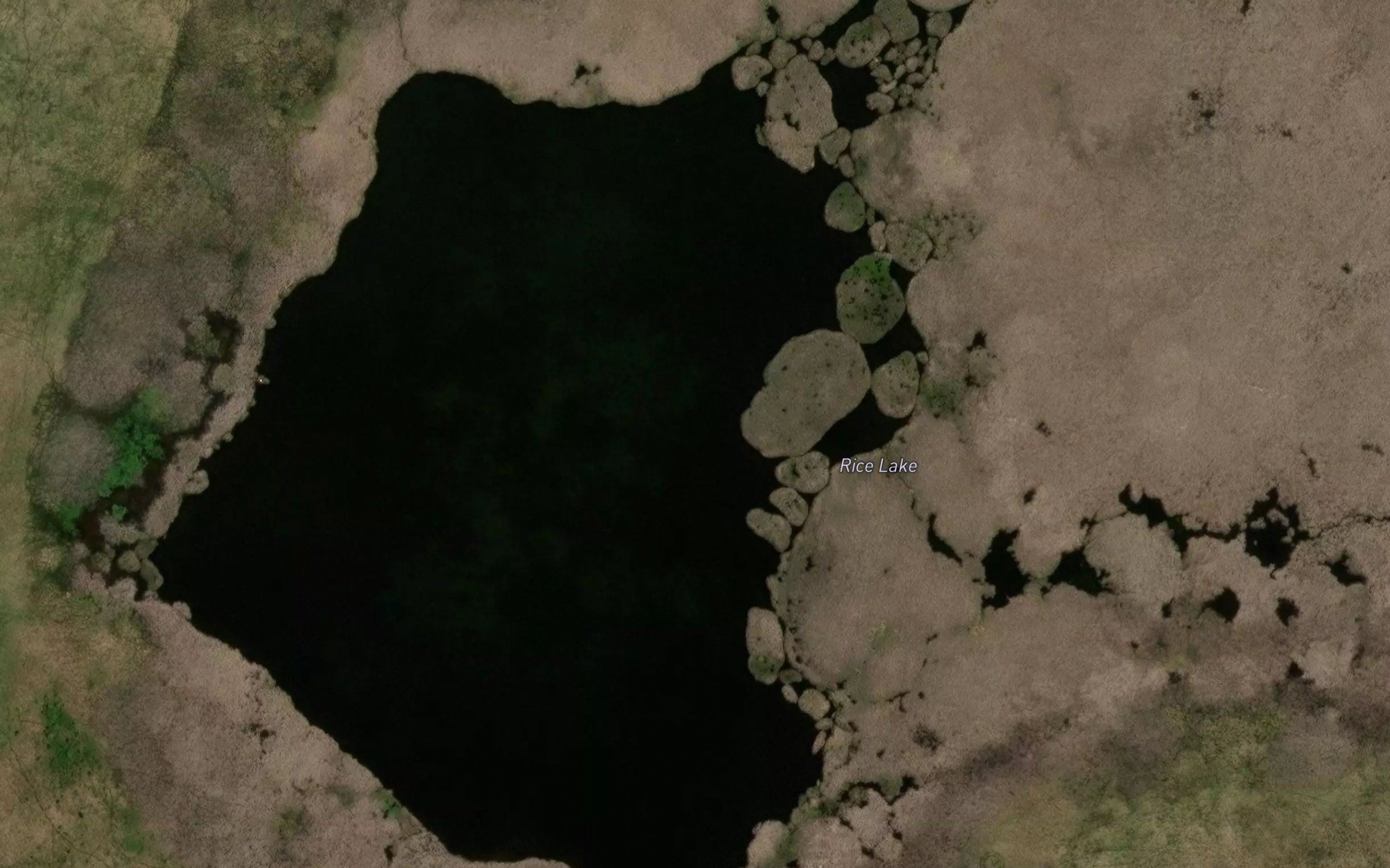 Rice Lake