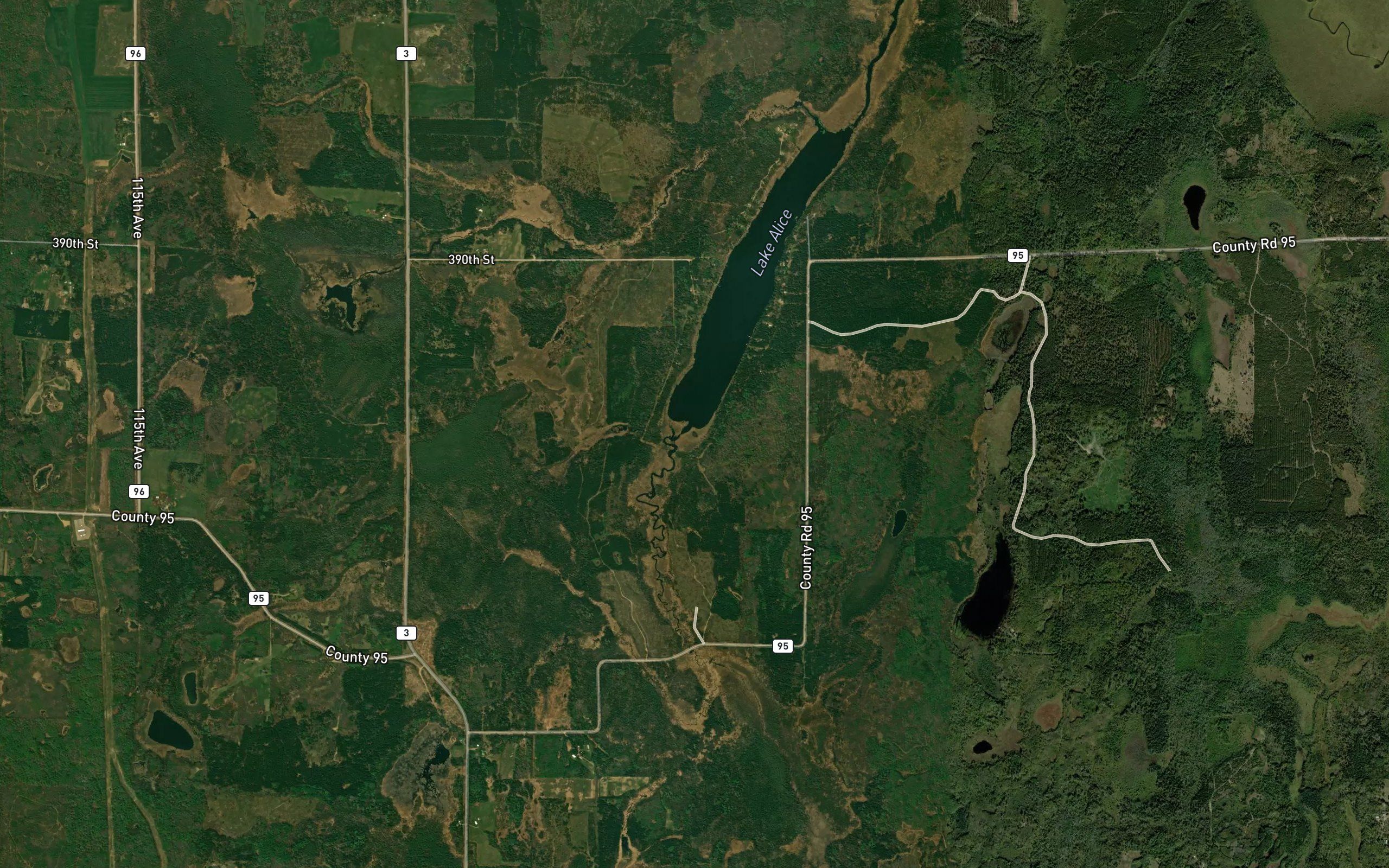 Lake Alice Creek