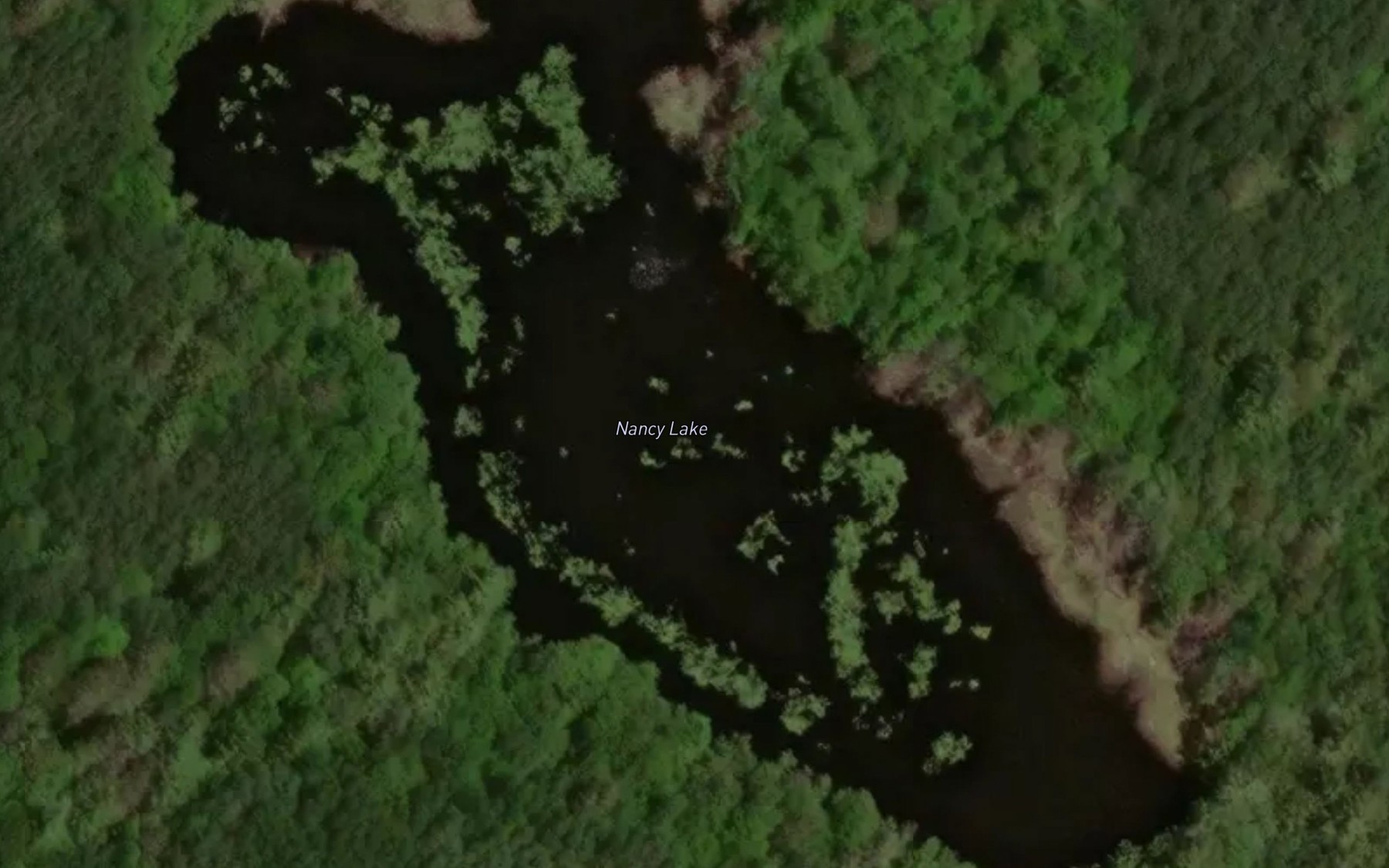 Satellite map of the Nancy Lake