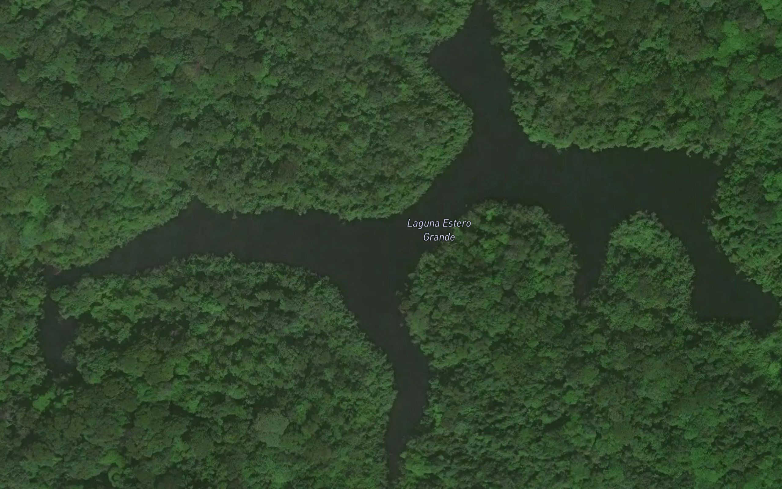 Laguna Estero Grande
