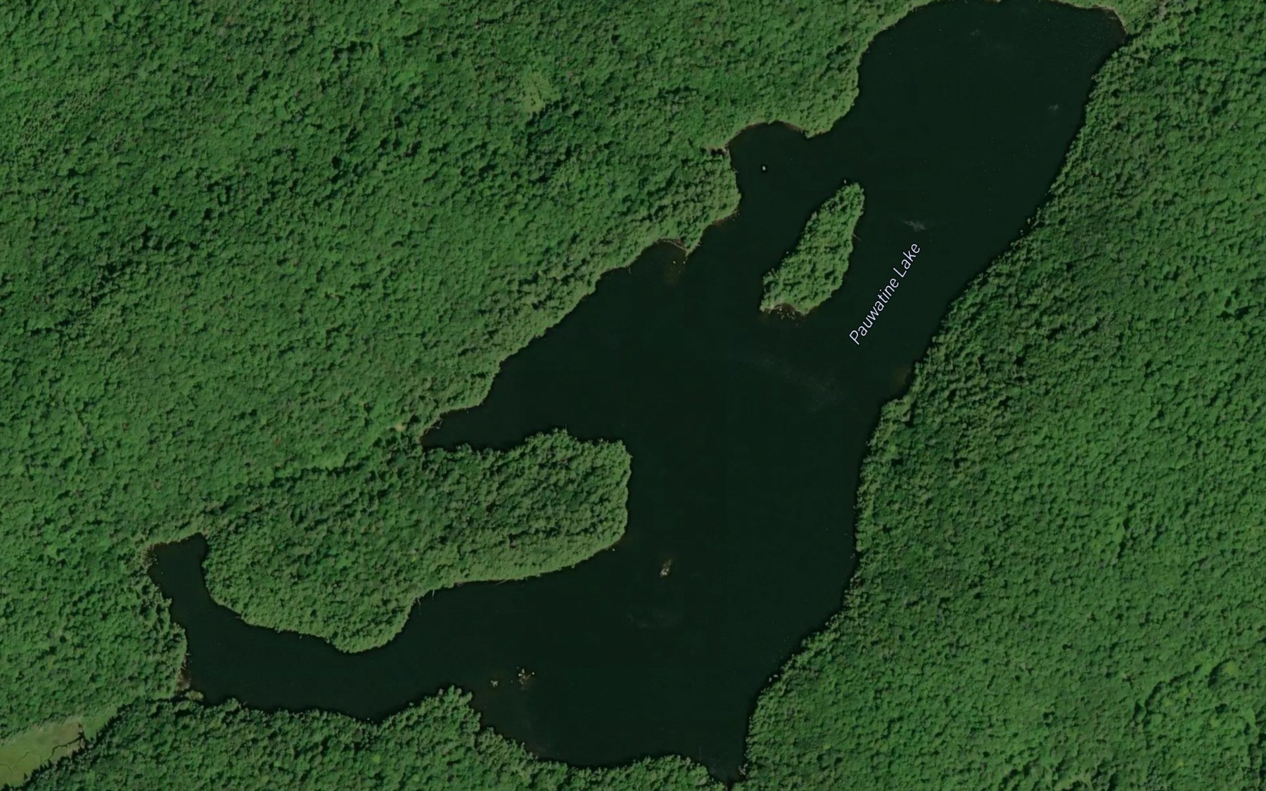 Satellite map of the Pauwatine Lake