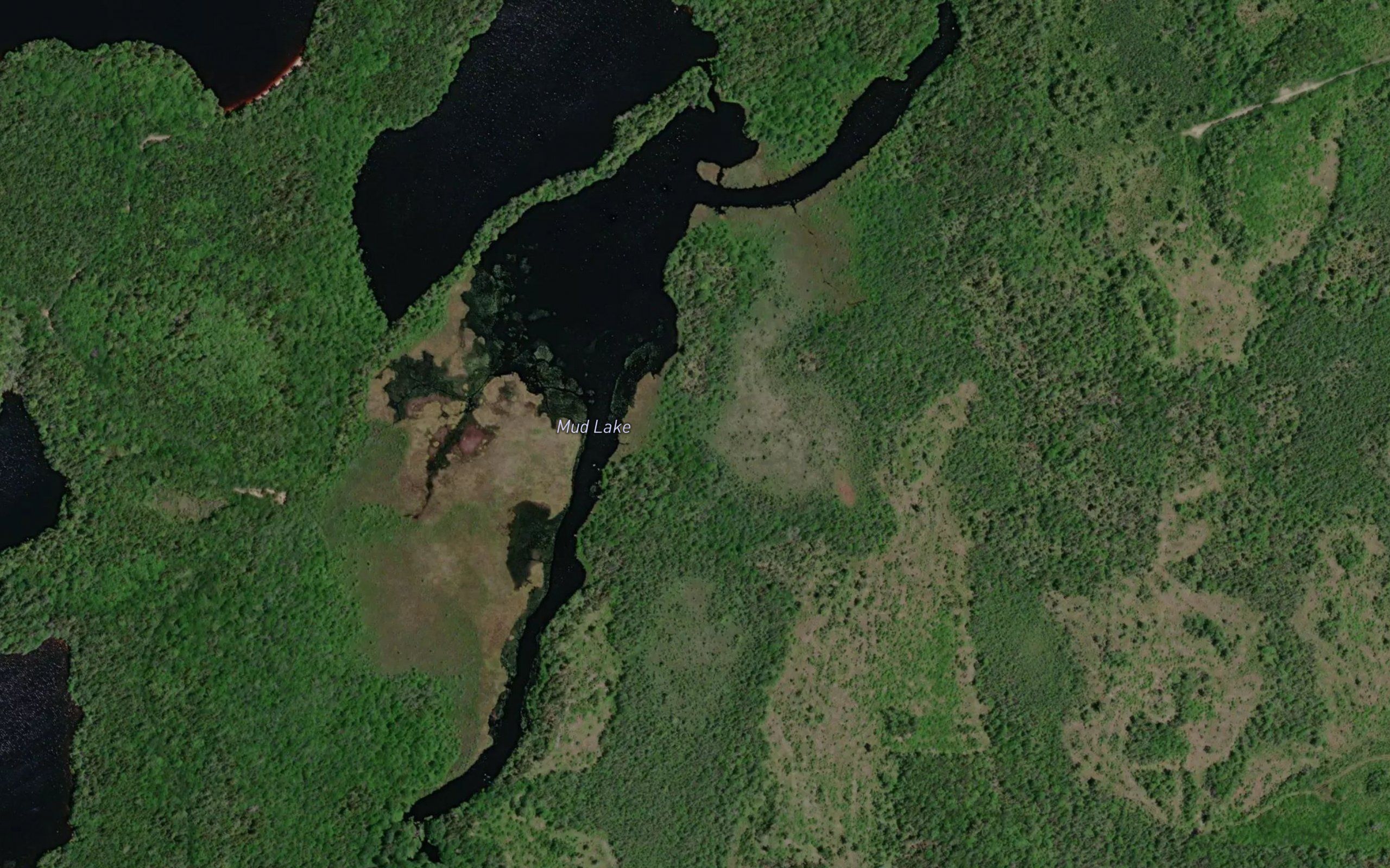 Mud Lake