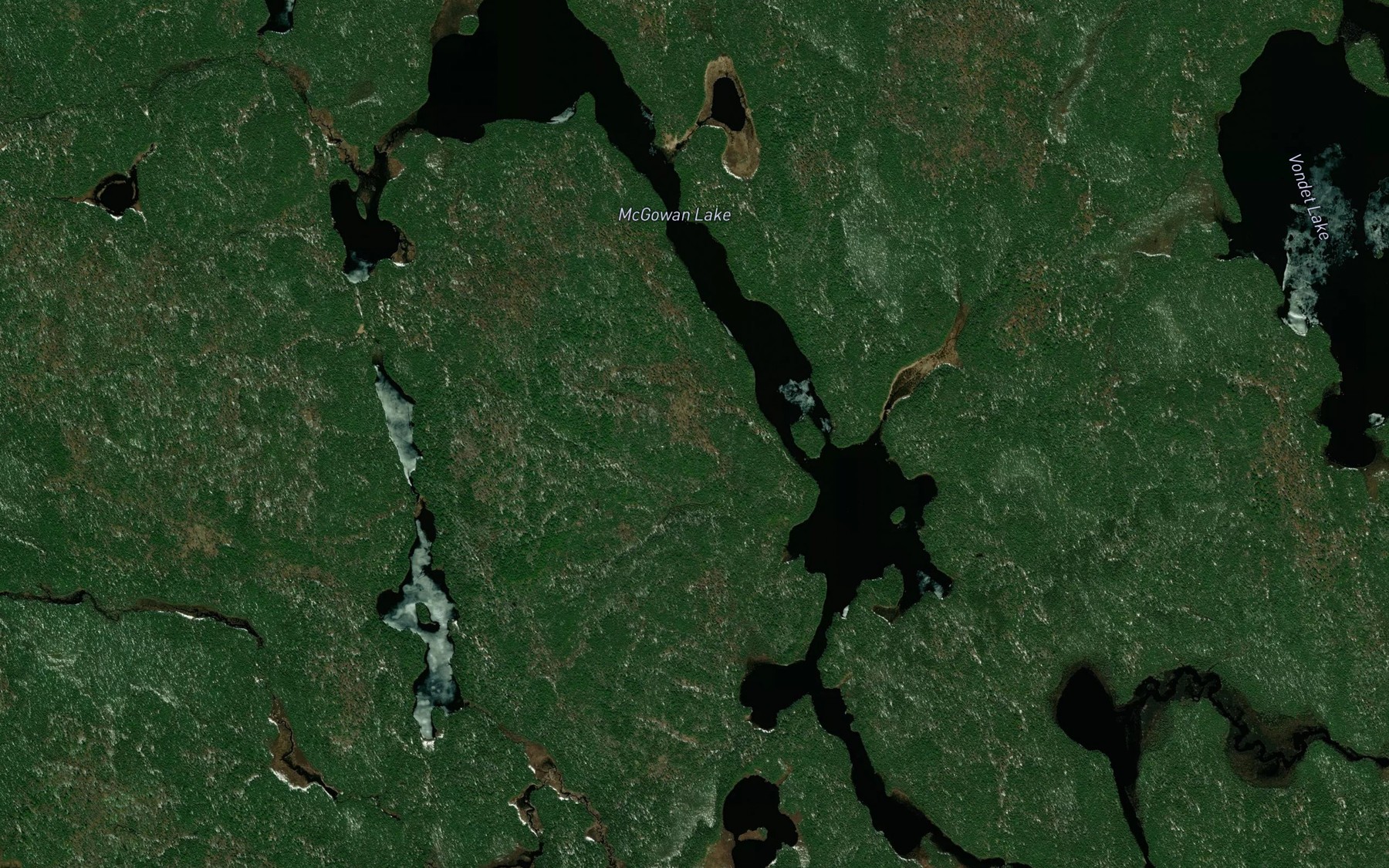 Satellite map of the McGowan Lake