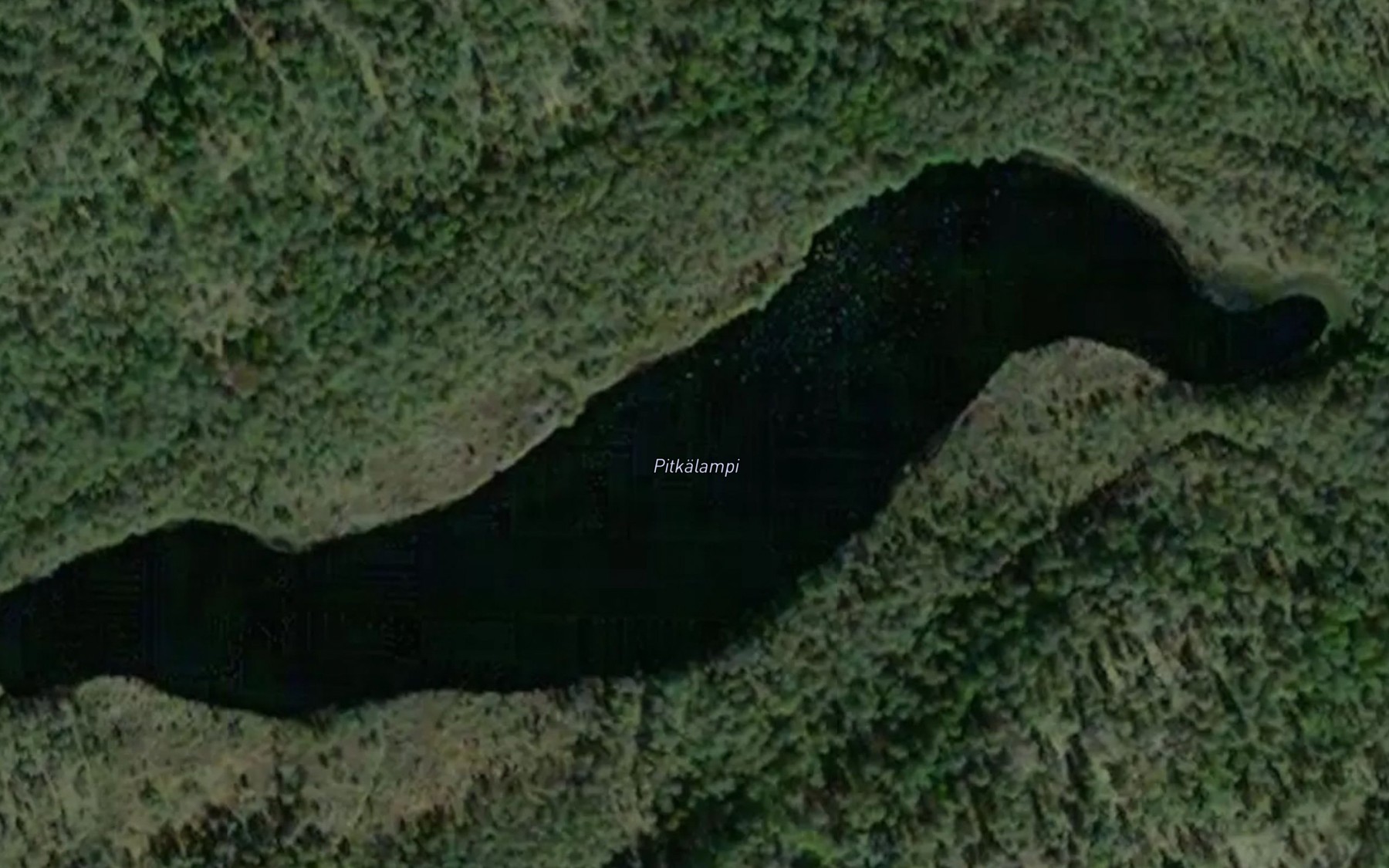 Satellite map of the Pitkalampi
