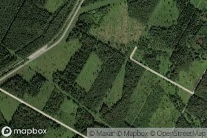 Metskula Magistraalkraav