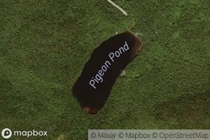 Pigeon Pond