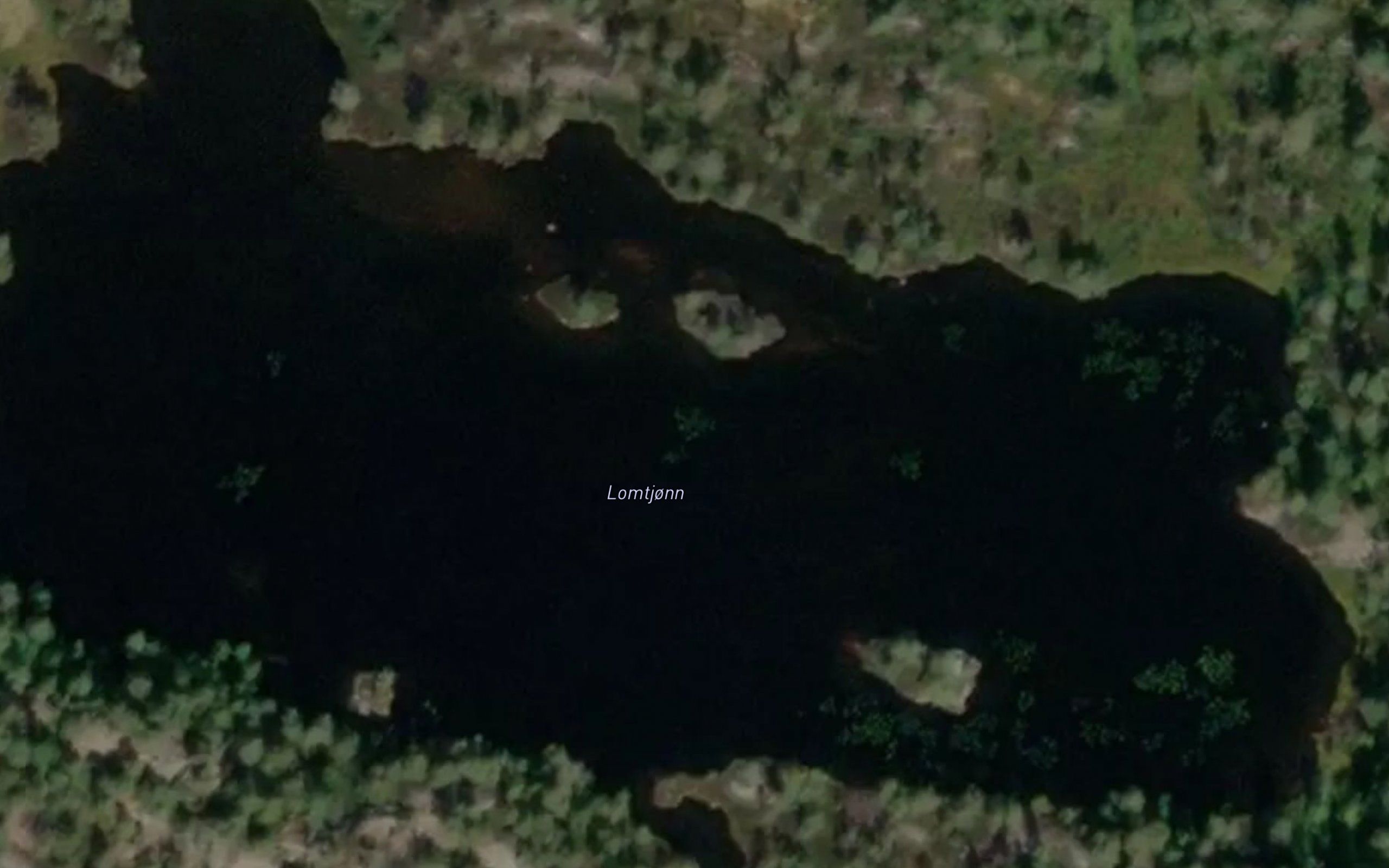 Lomtjonn
