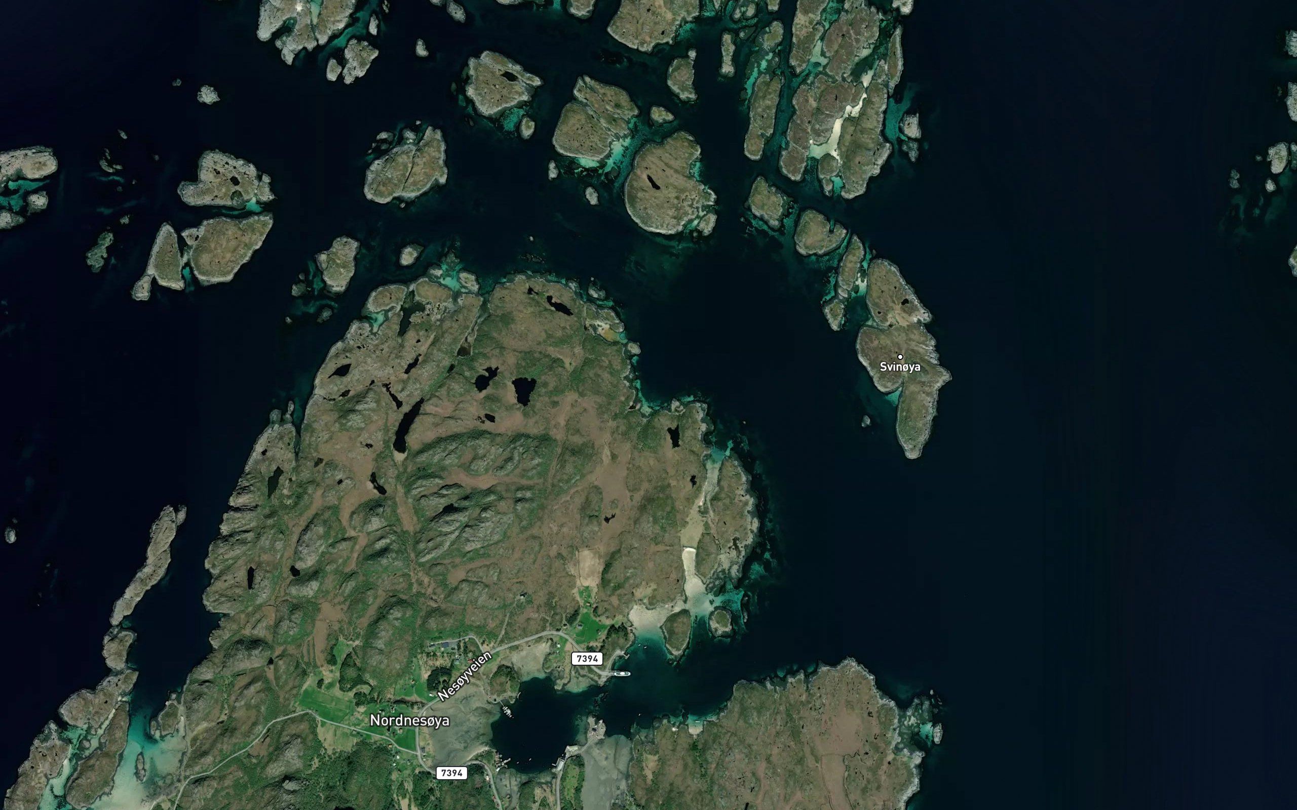 Bonsakvika