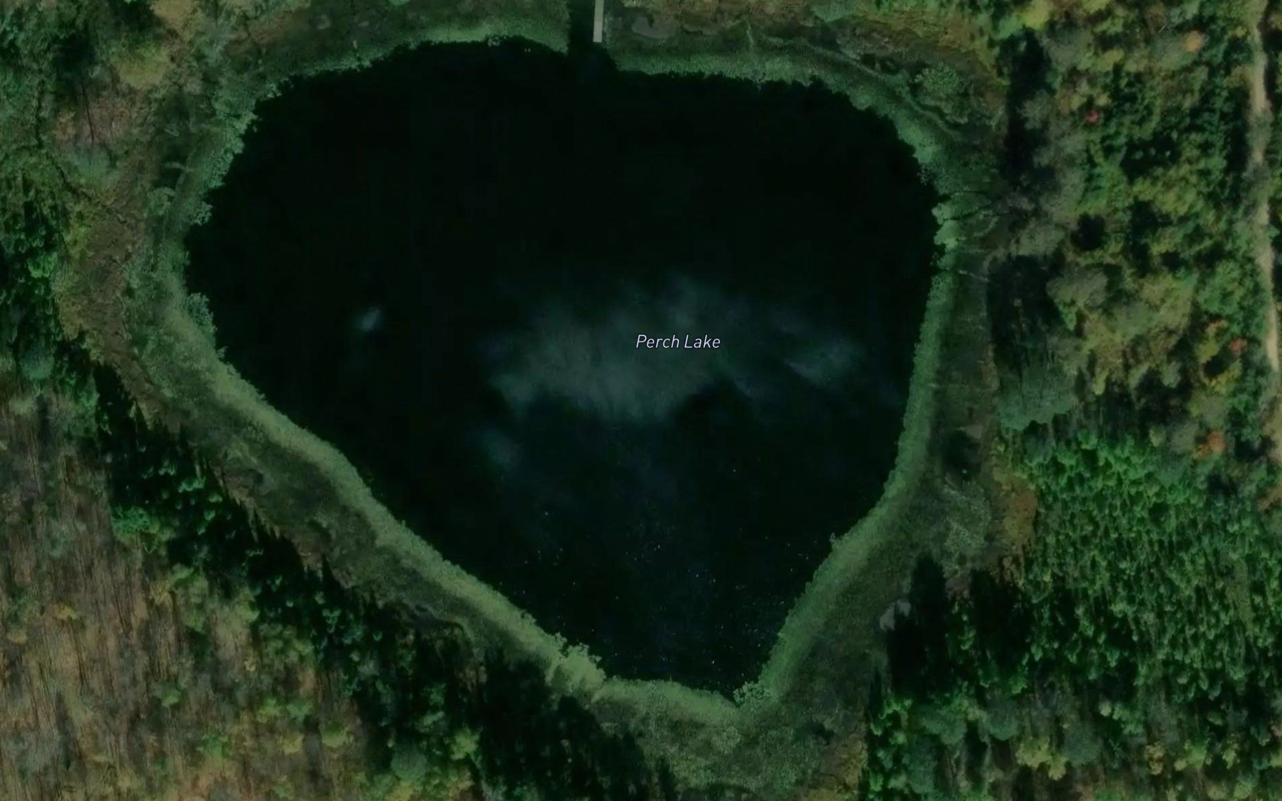 Perch Lake