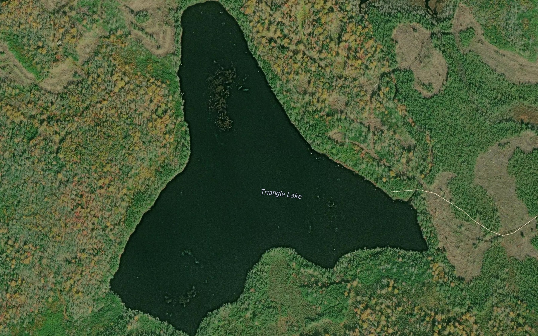 Satellite map of the Triangle Lake