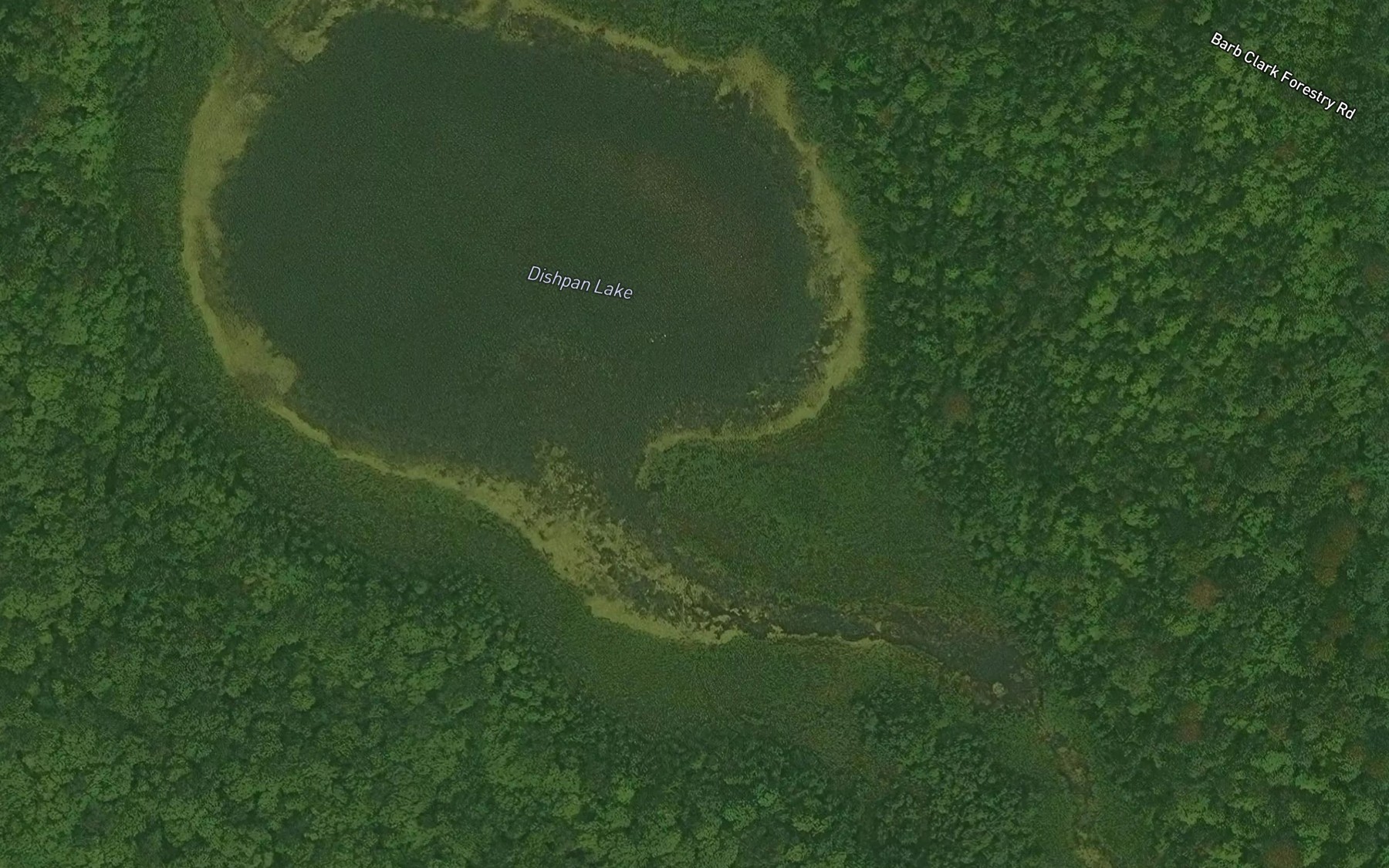 Satellite map of the Dishpan Lake