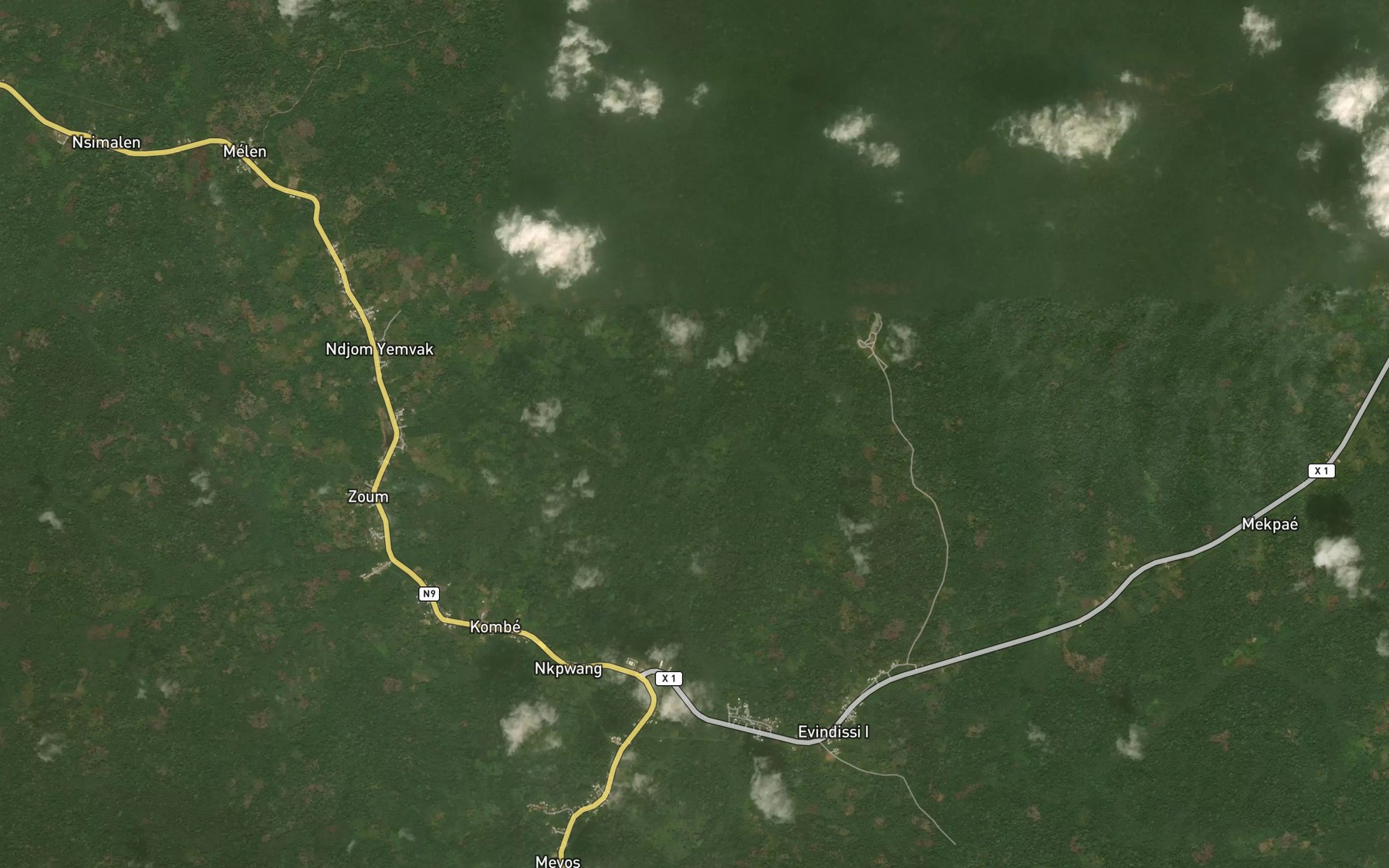 Satellite map of the Ngale