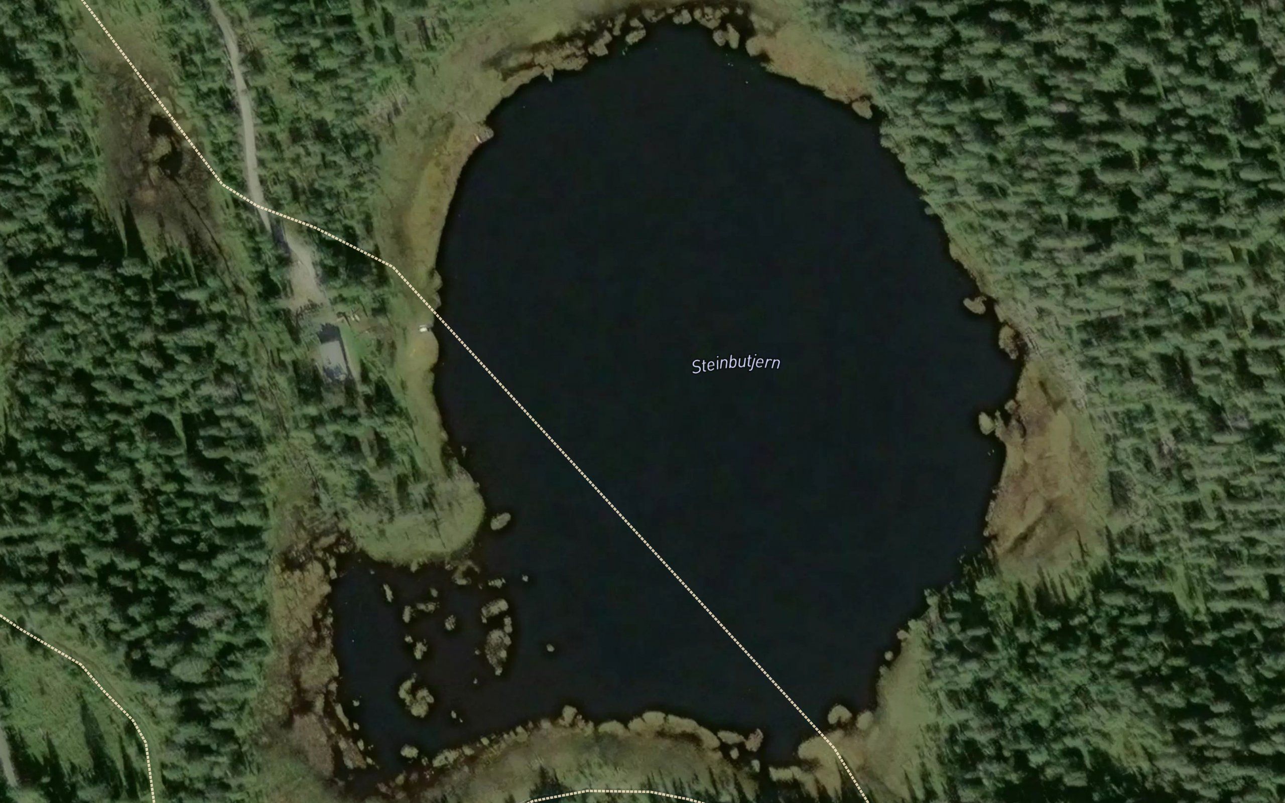 Steinbutjern