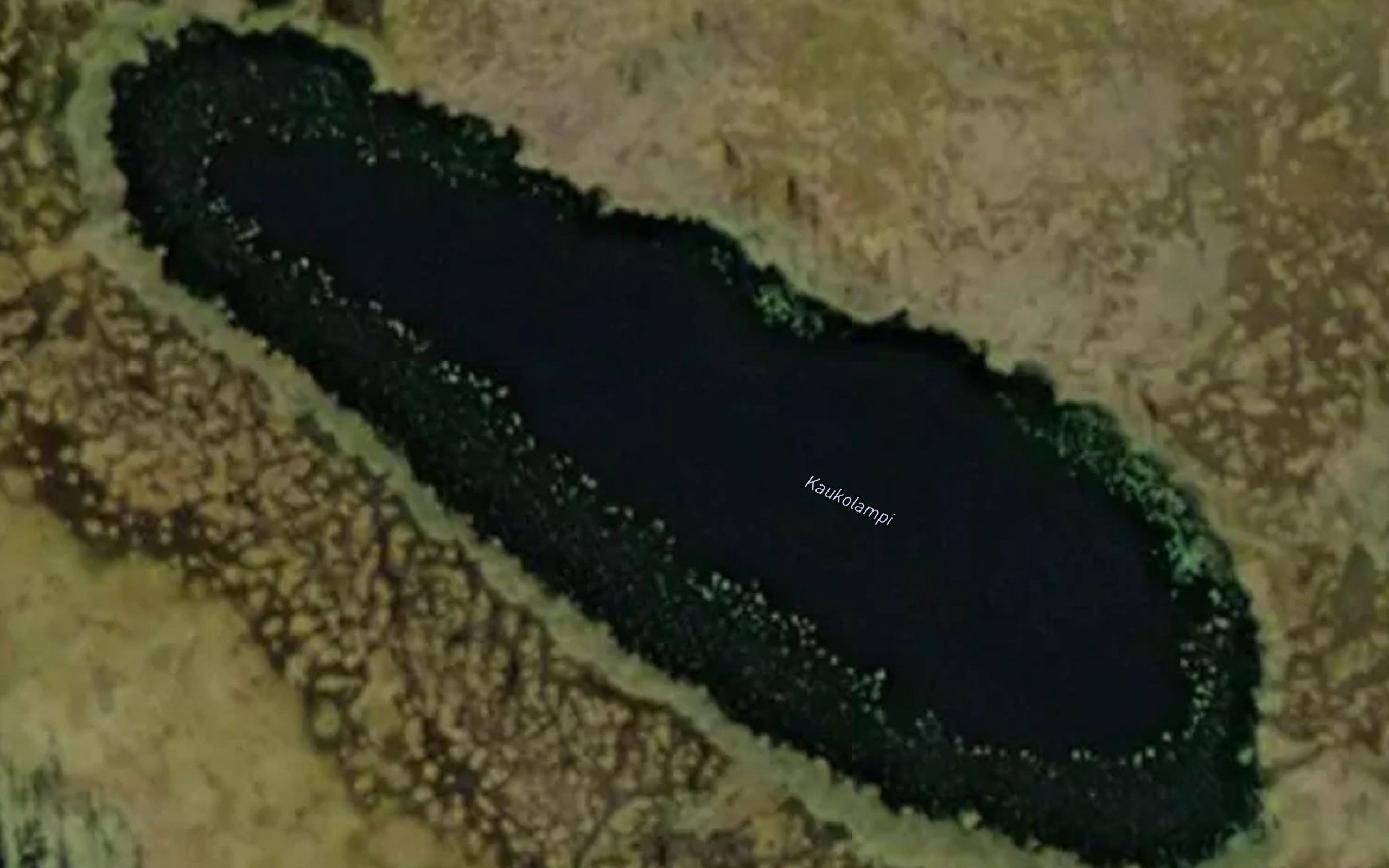 Kaukolampi