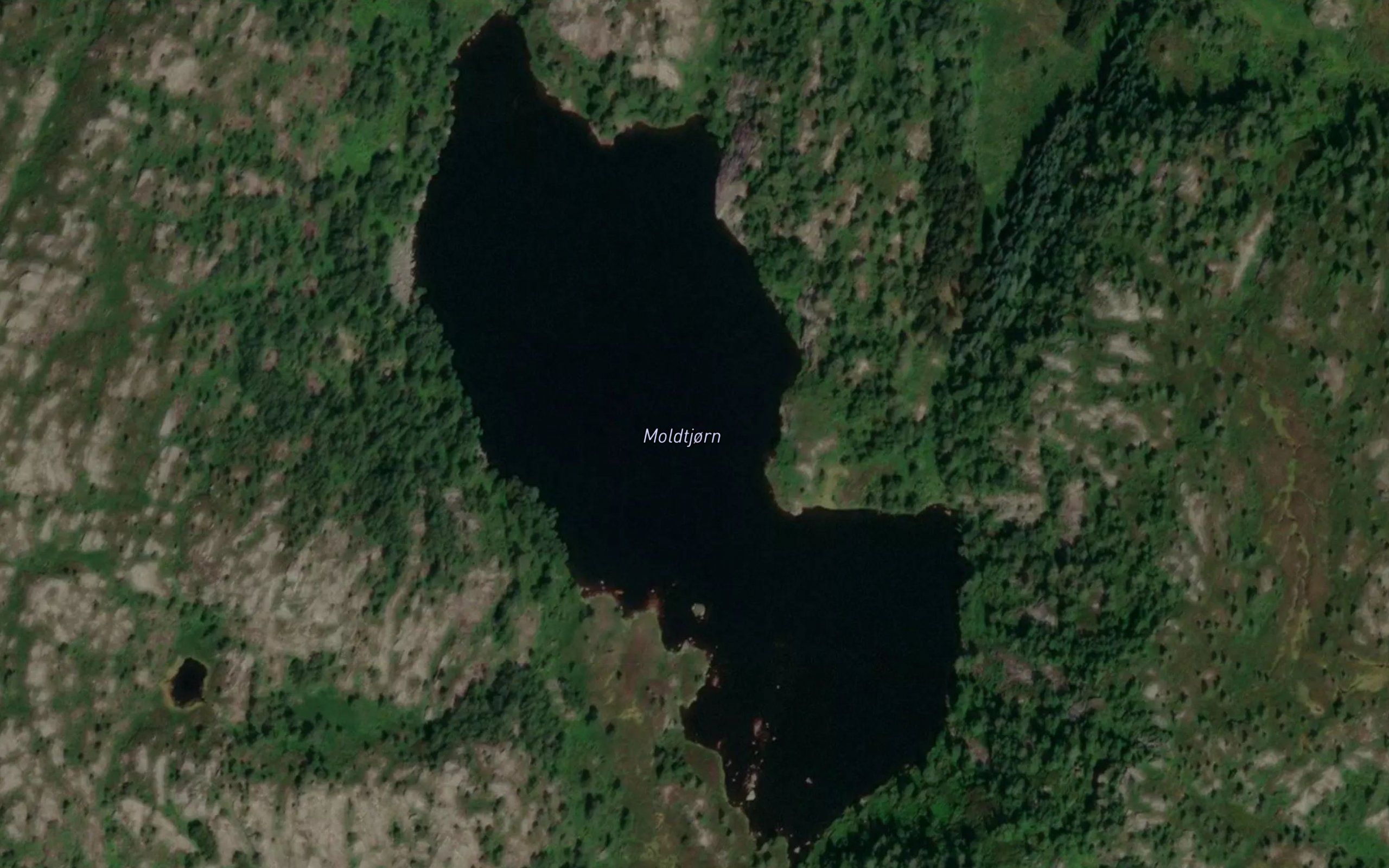 Moldtjorn
