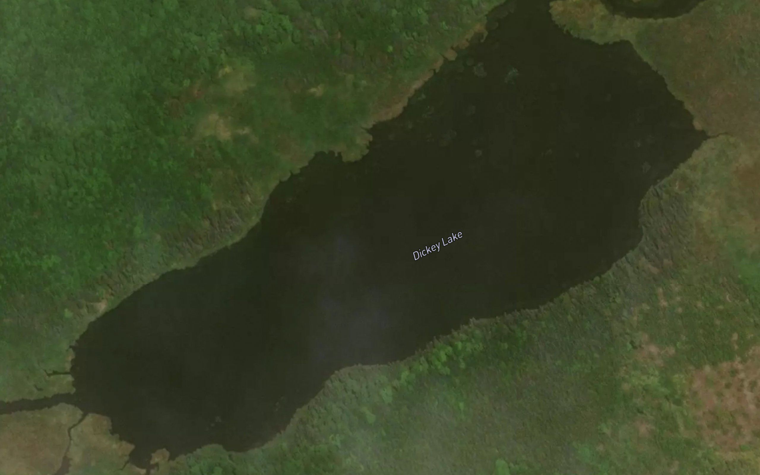 Dickey Lake
