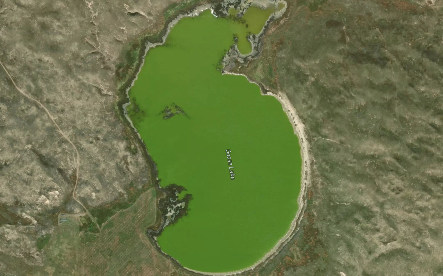 Satellite map of the Goose Lake