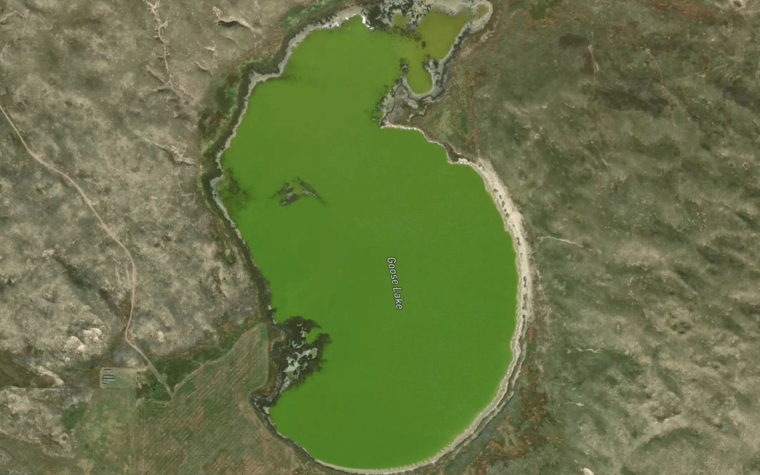 Goose Lake