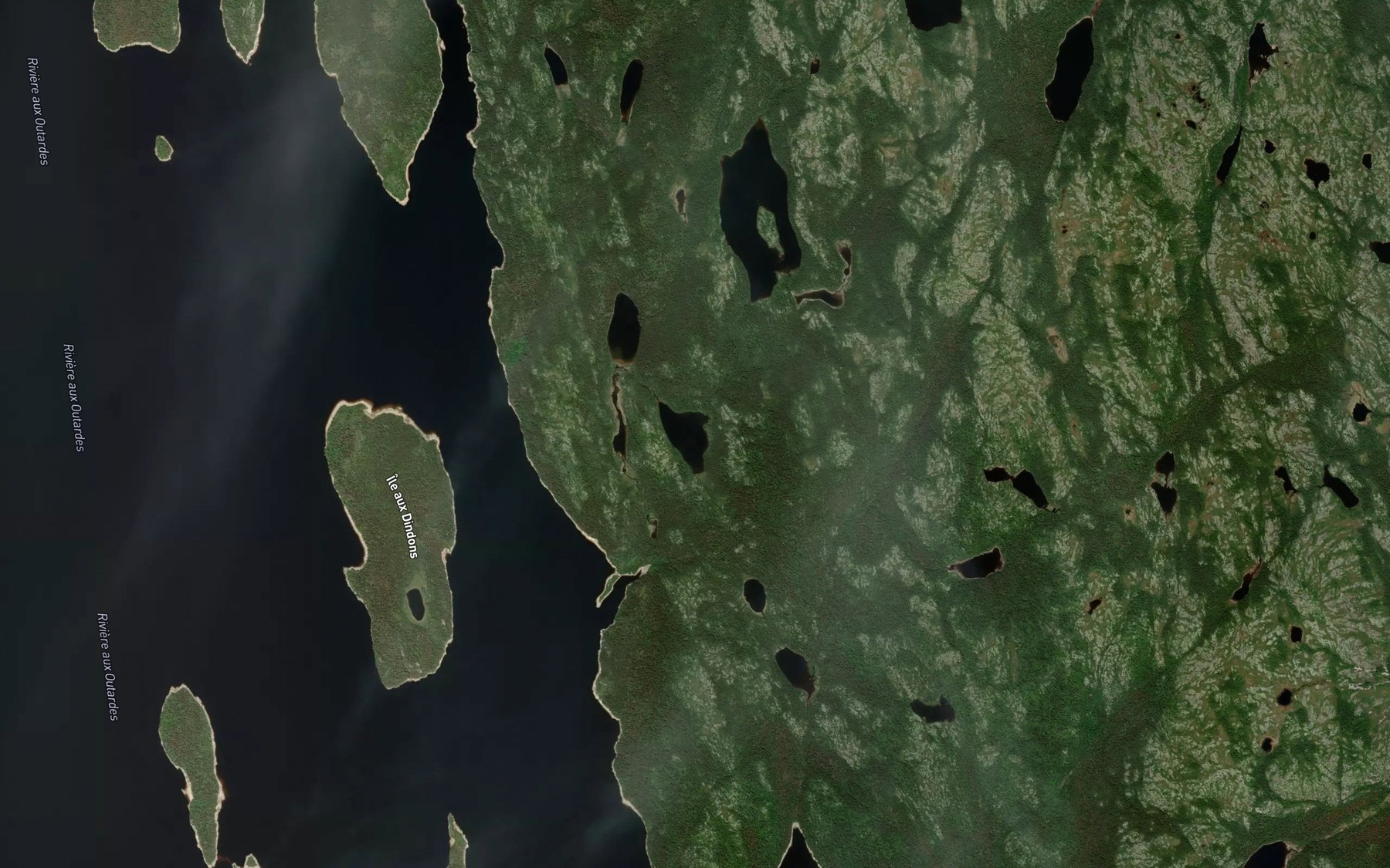 Satellite map of the Lac Carre Pointu