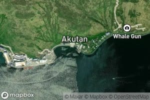 Akutan Seaplane Base