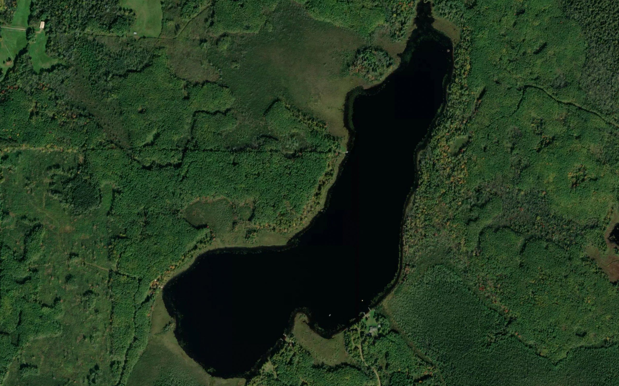 Mountain Ash Lake