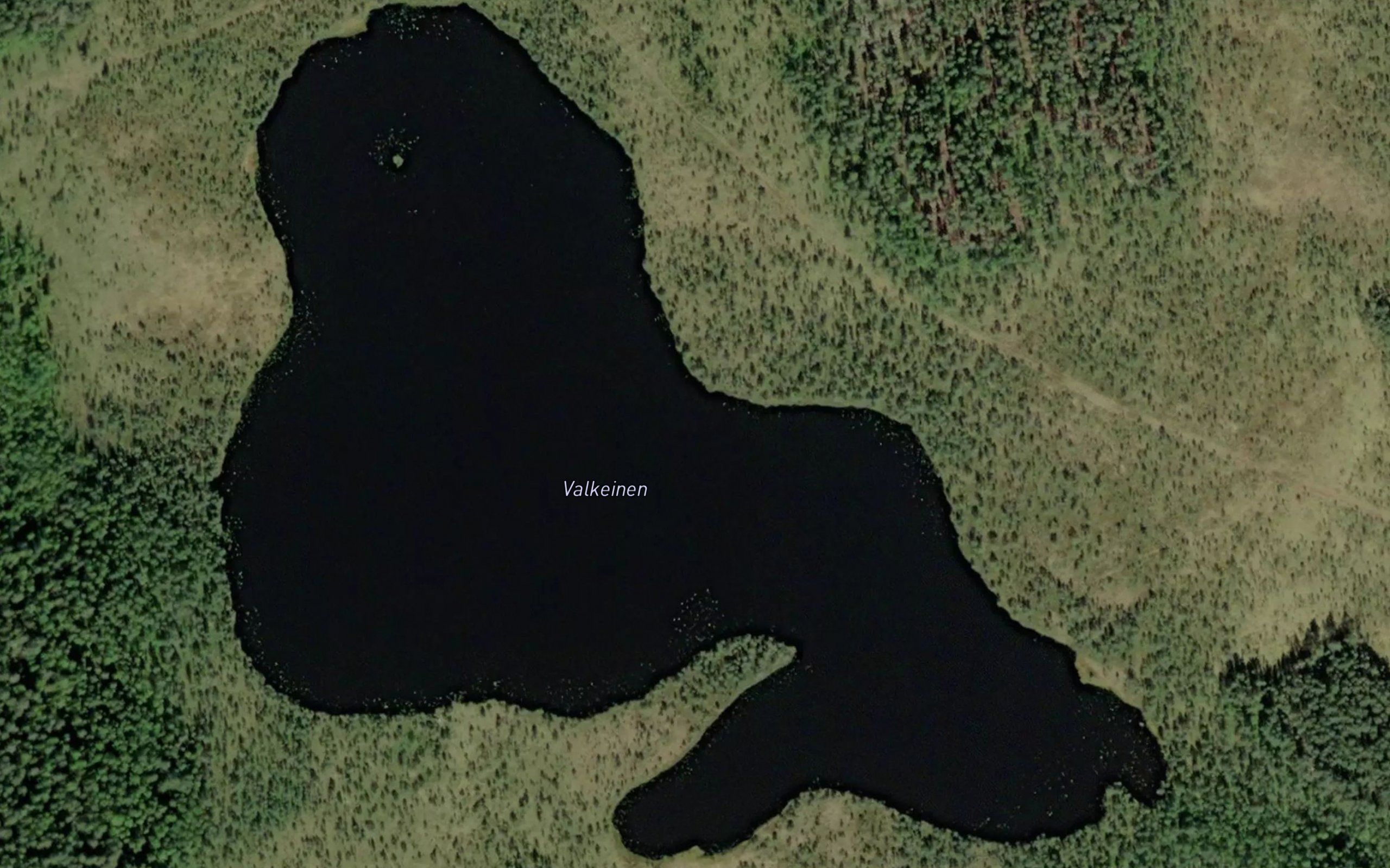 Valkeinen