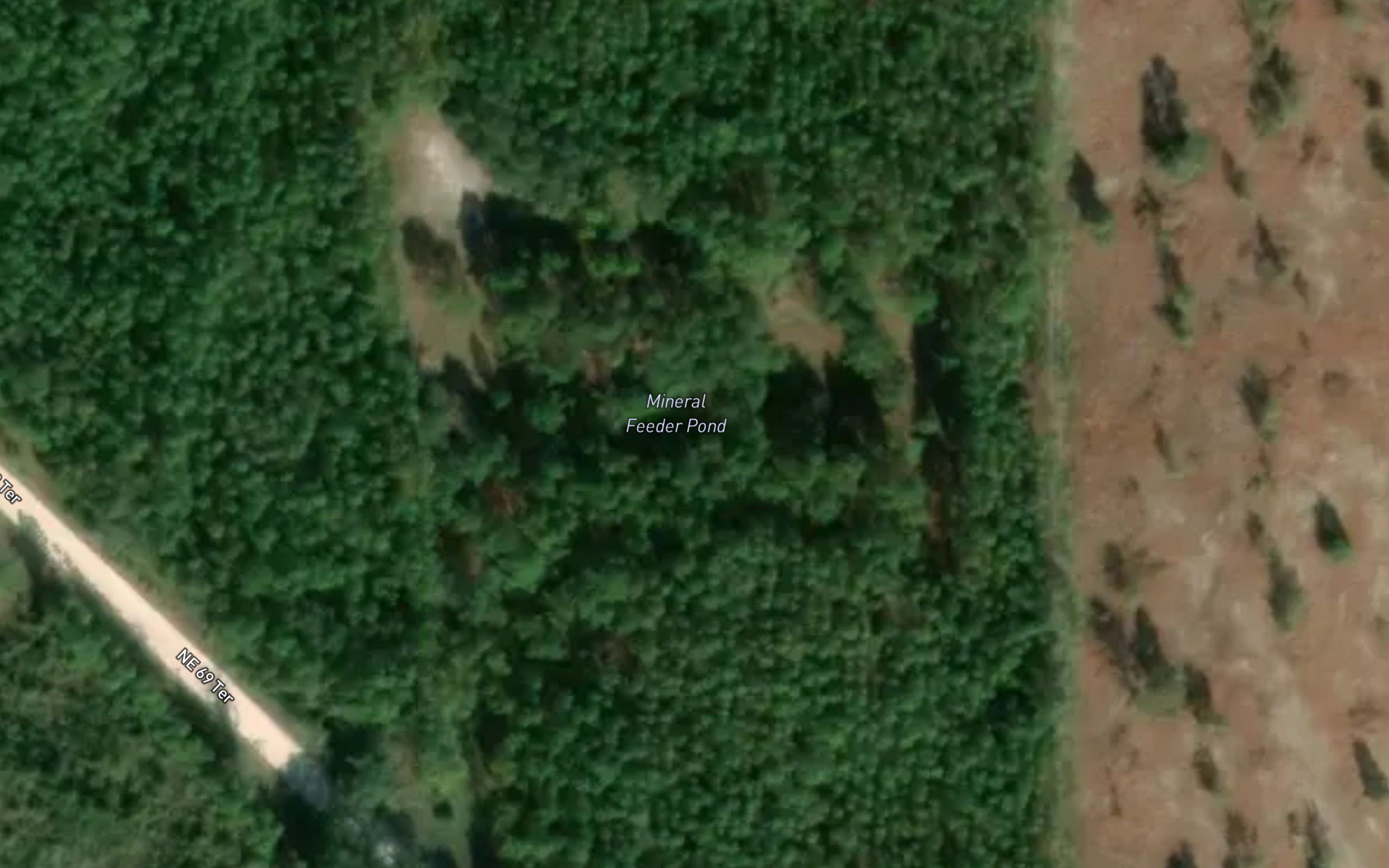 Mineral Feeder Pond
