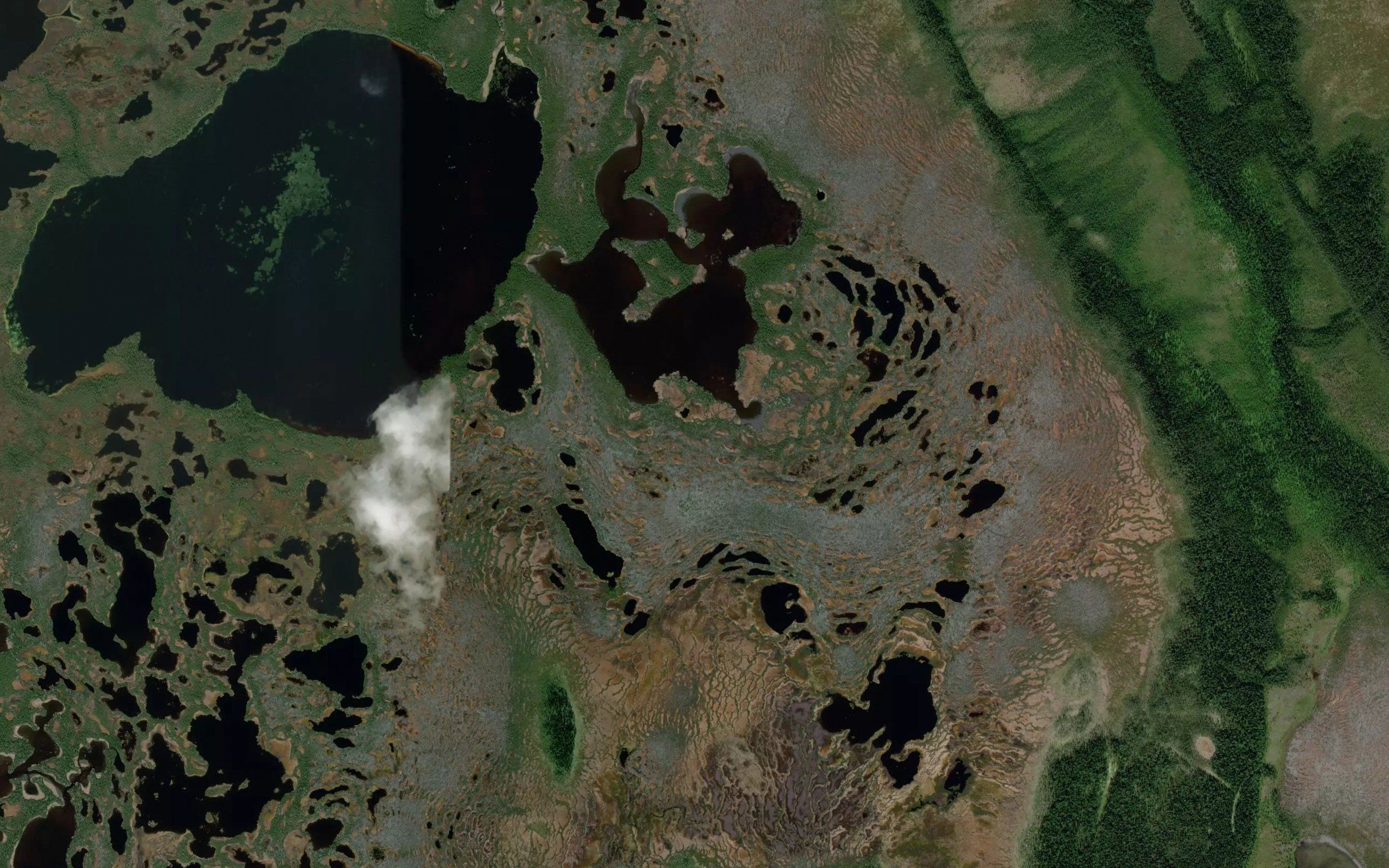 Ozero Vostochnoye