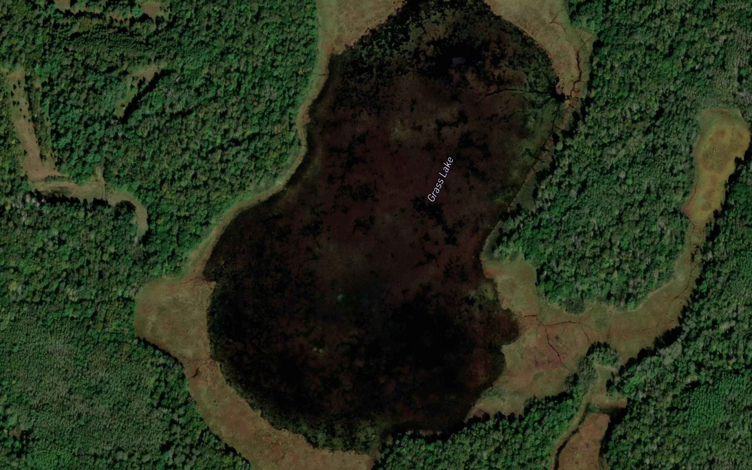Grass Lake