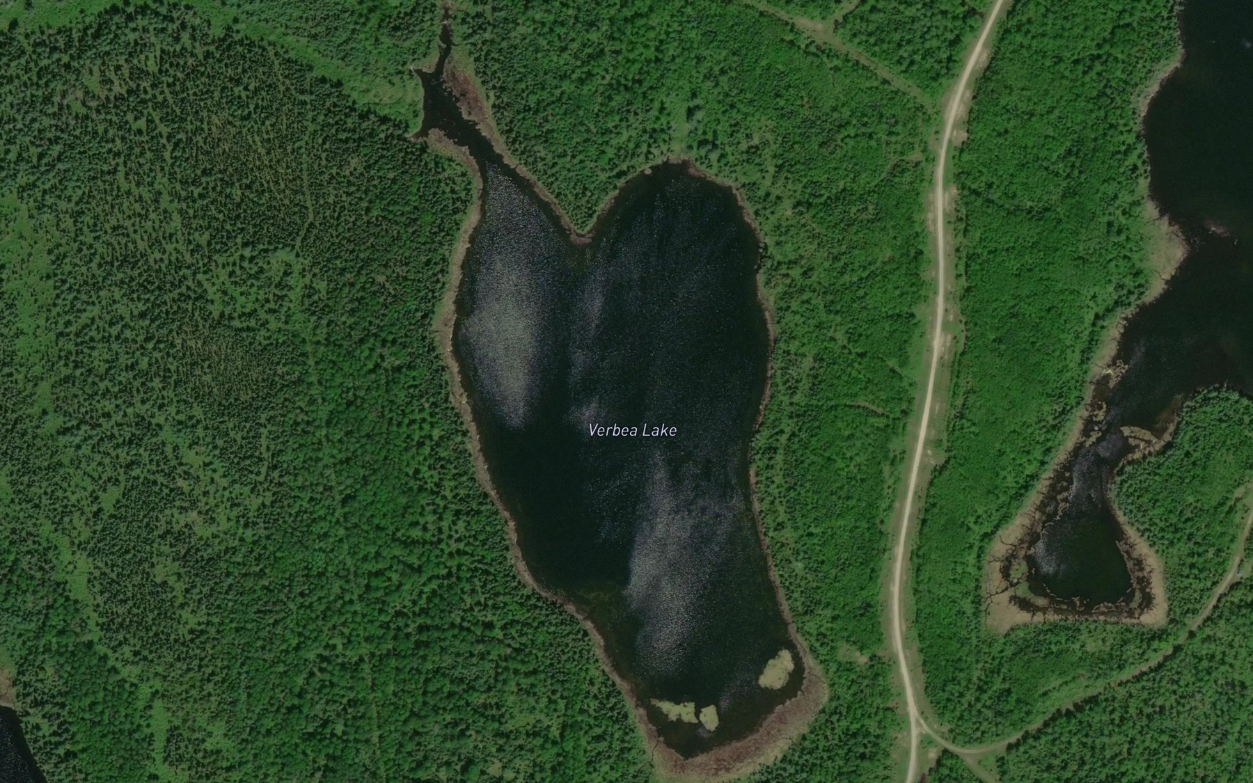 Satellite map of the Verbea Lake