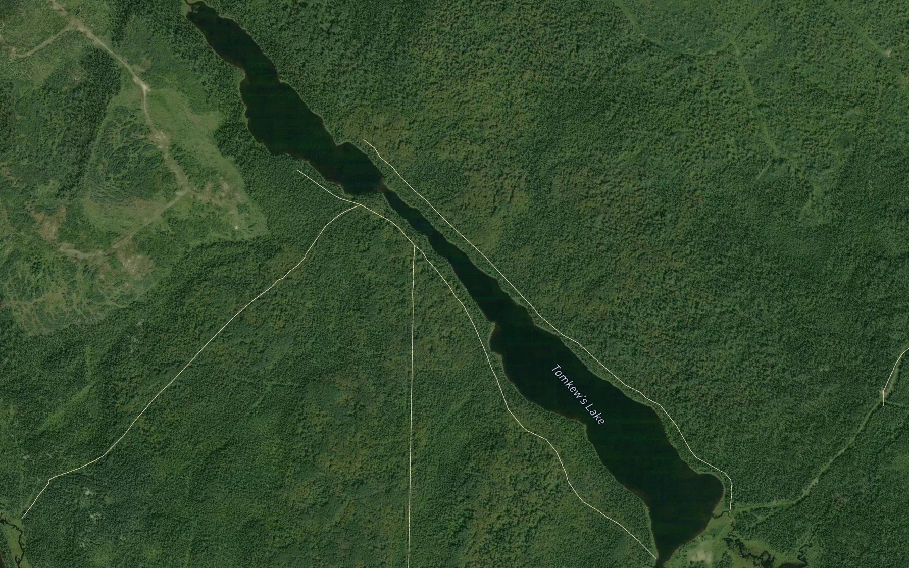 Satellite map of the Tomkew's Lake