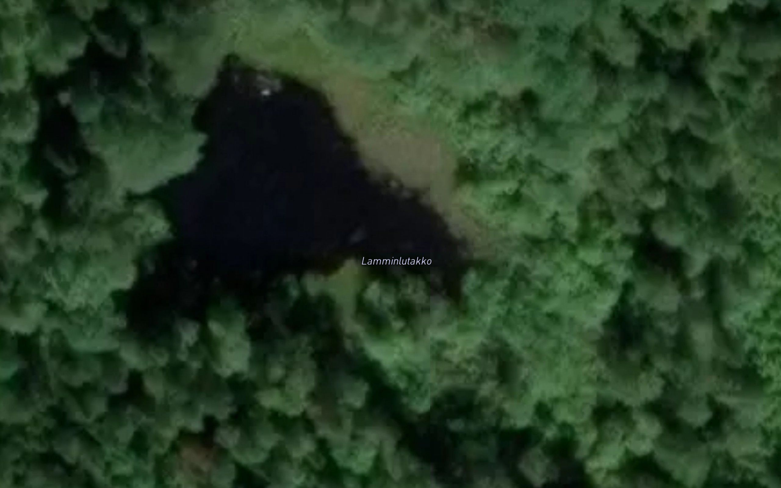 Lamminlutakko