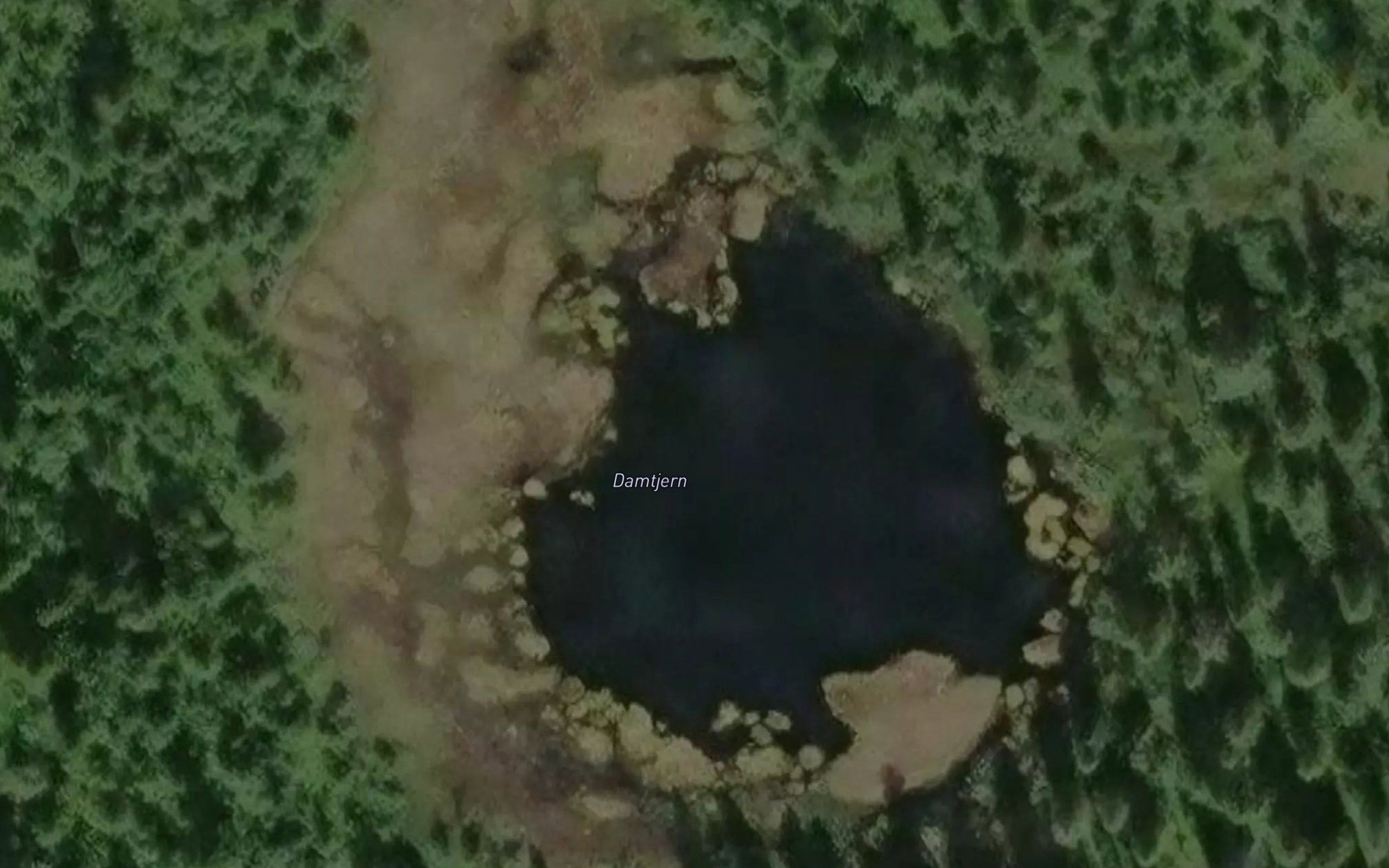 Damtjern