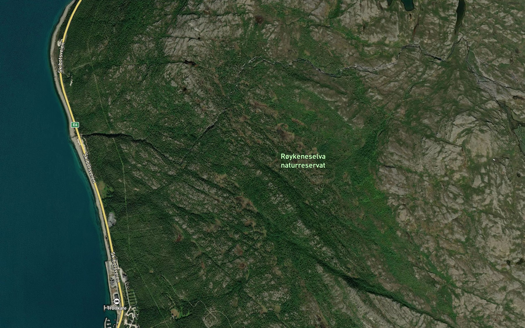 Satellite map of the Iselva