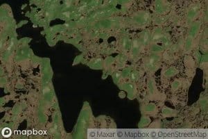 Mouse Pond