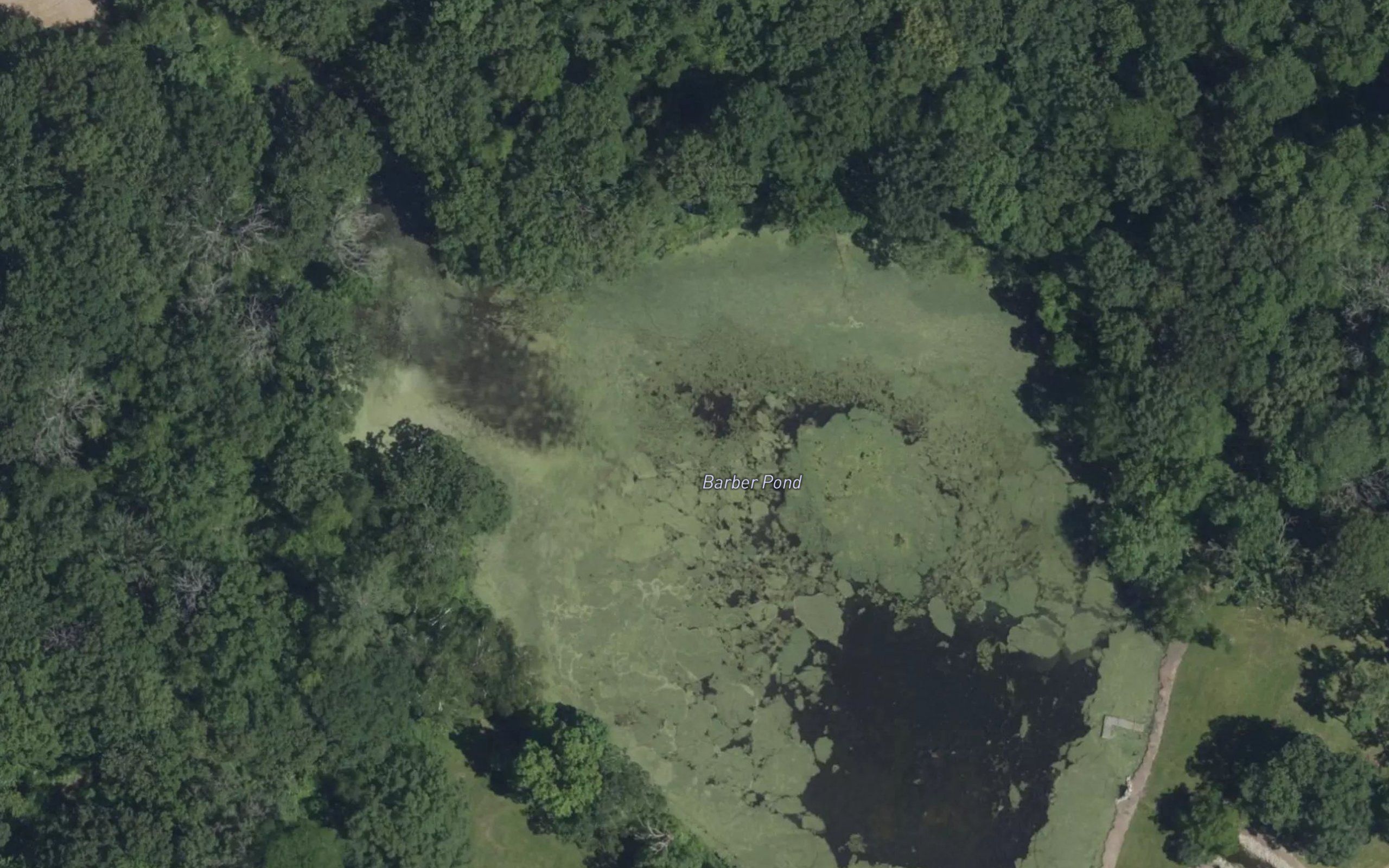 Barber Pond