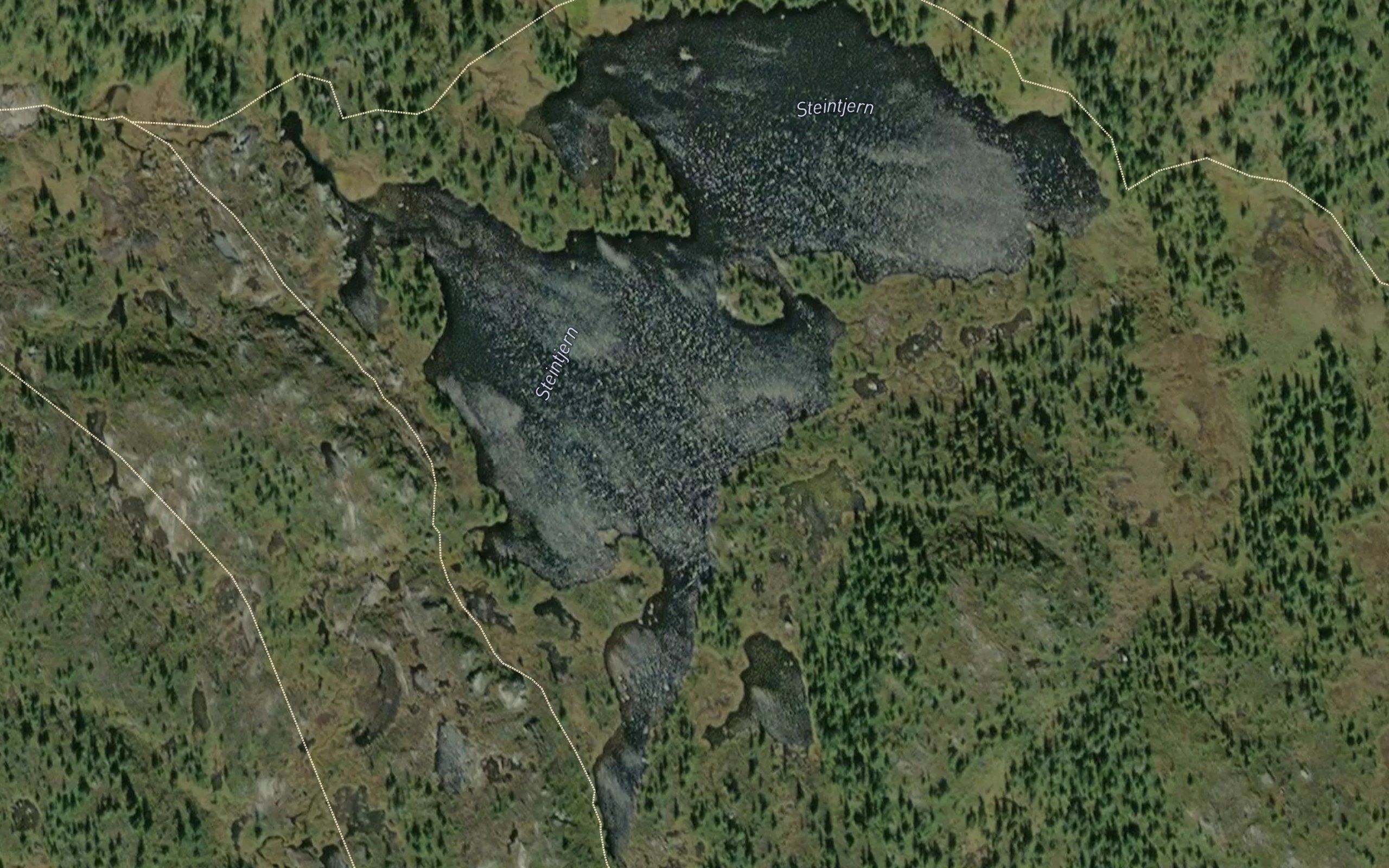 Steintjernet