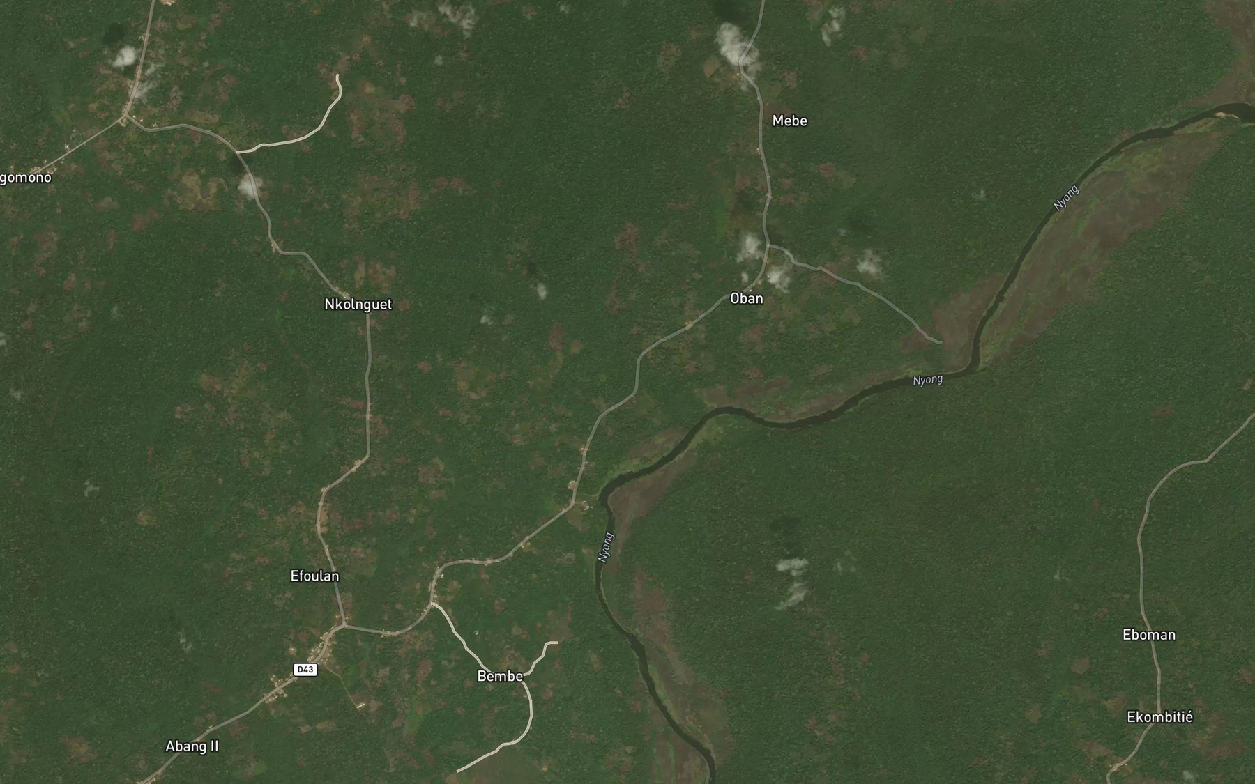 Satellite map of the Ndougou