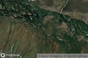 Surveyor Creek