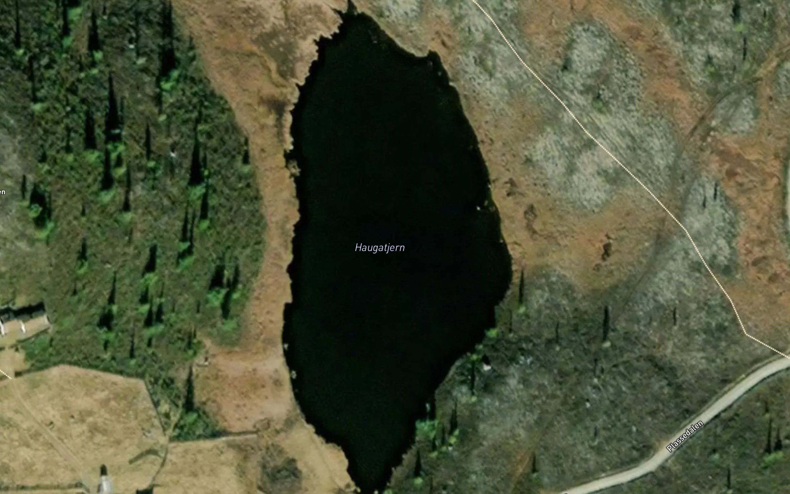 Haugatjern