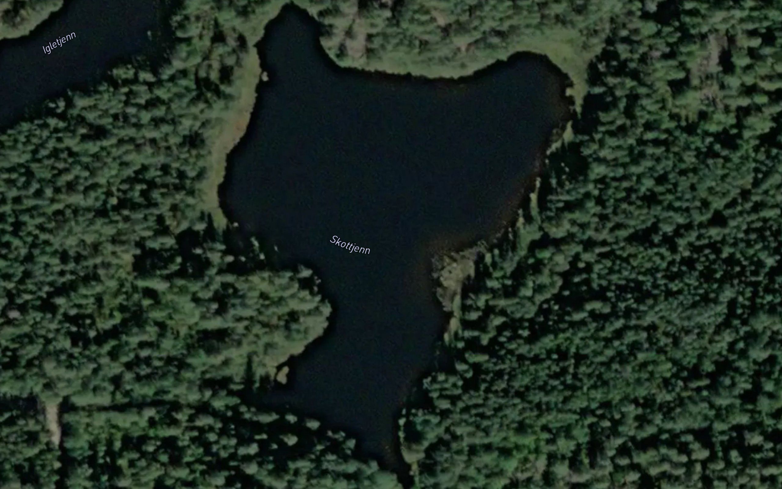 Skottjern