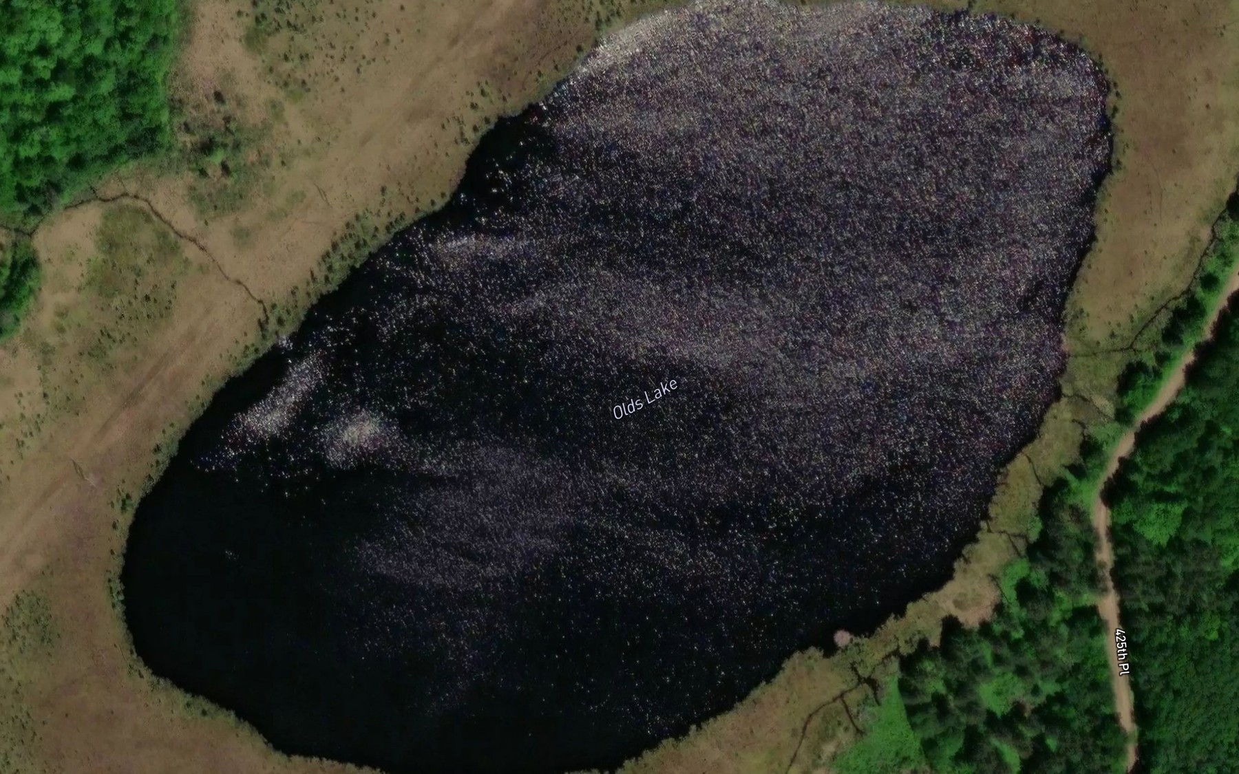 Satellite map of the Olds Lake