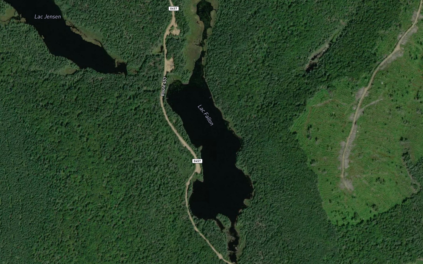 Satellite map of the Lac Fallon