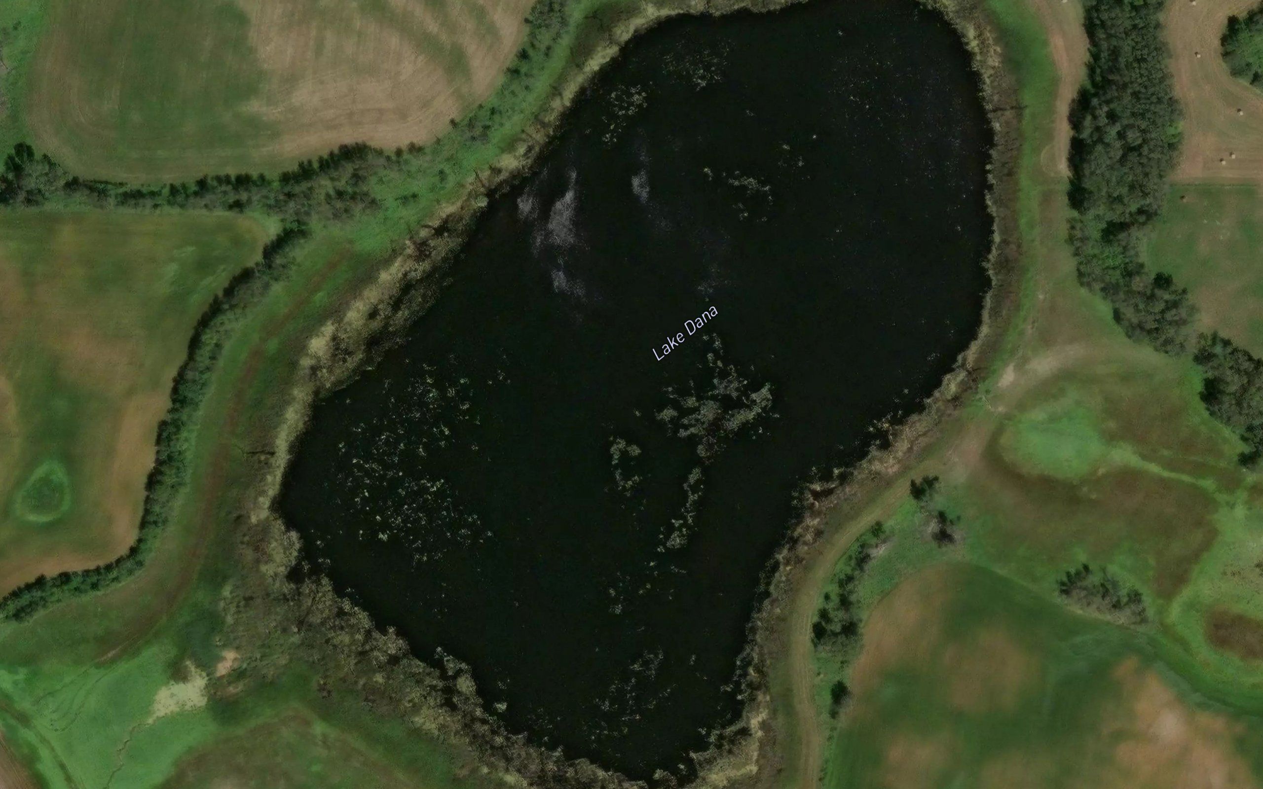 Lake Dana