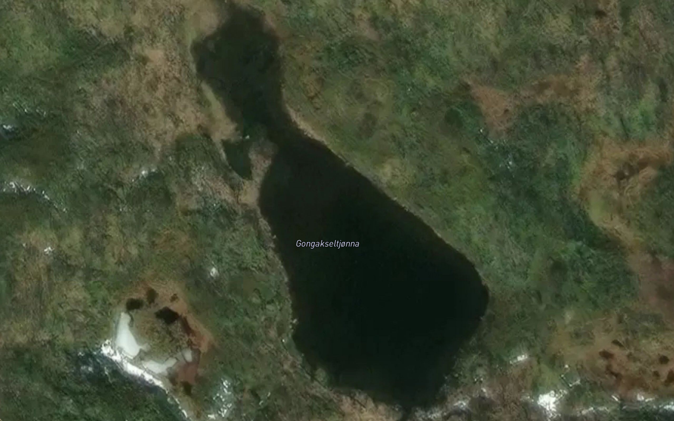 Gongakseltjonna