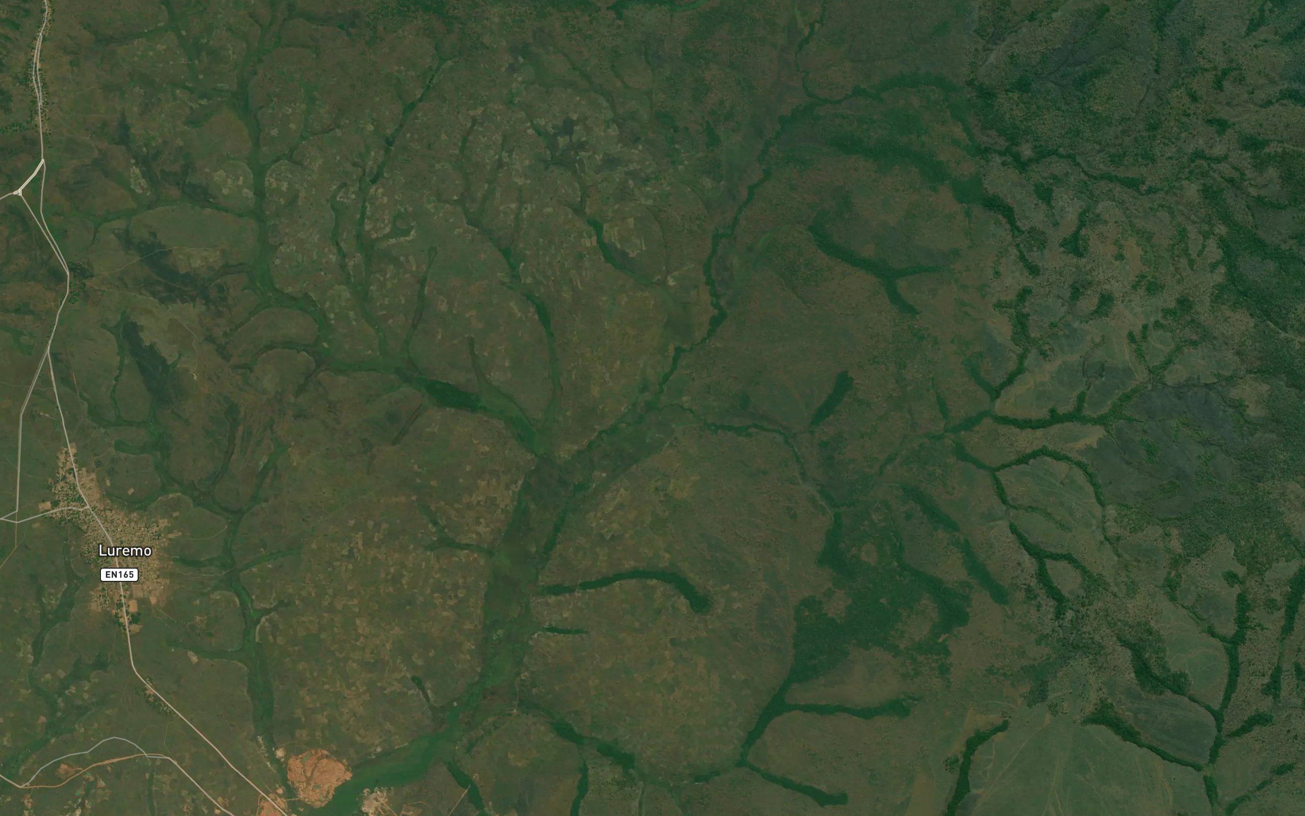 Caminzanzua